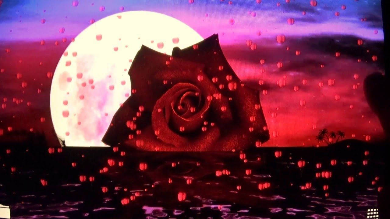 A Red Rose With A Moon In The Background Background
