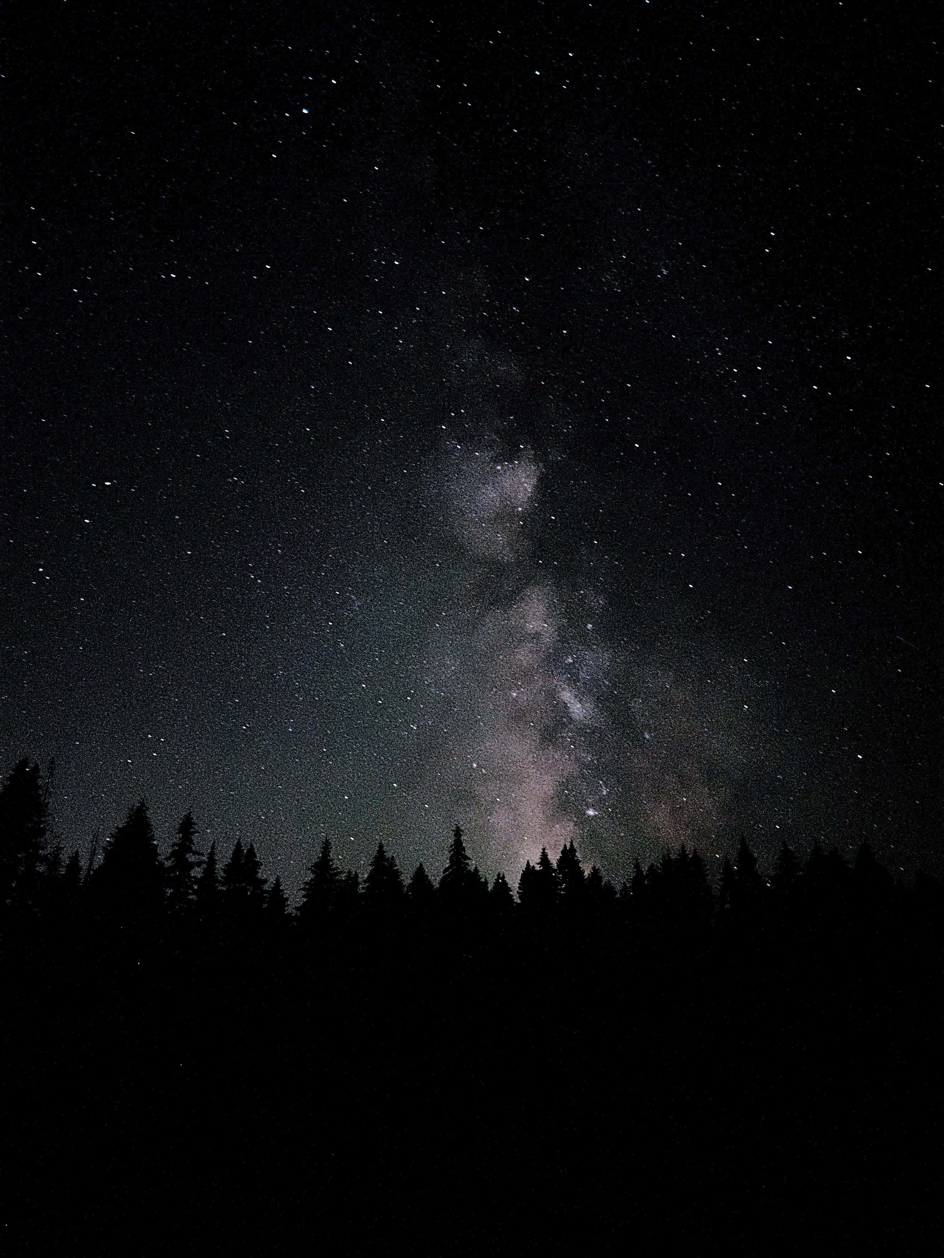 Download A Serene Night Sky Illuminated By A Full Moon. Wallpaper