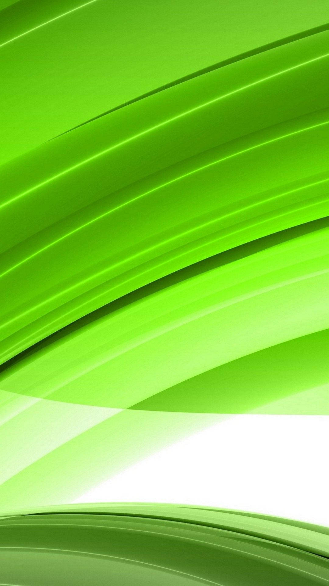 Download Abstract Light Green Lines Wallpaper