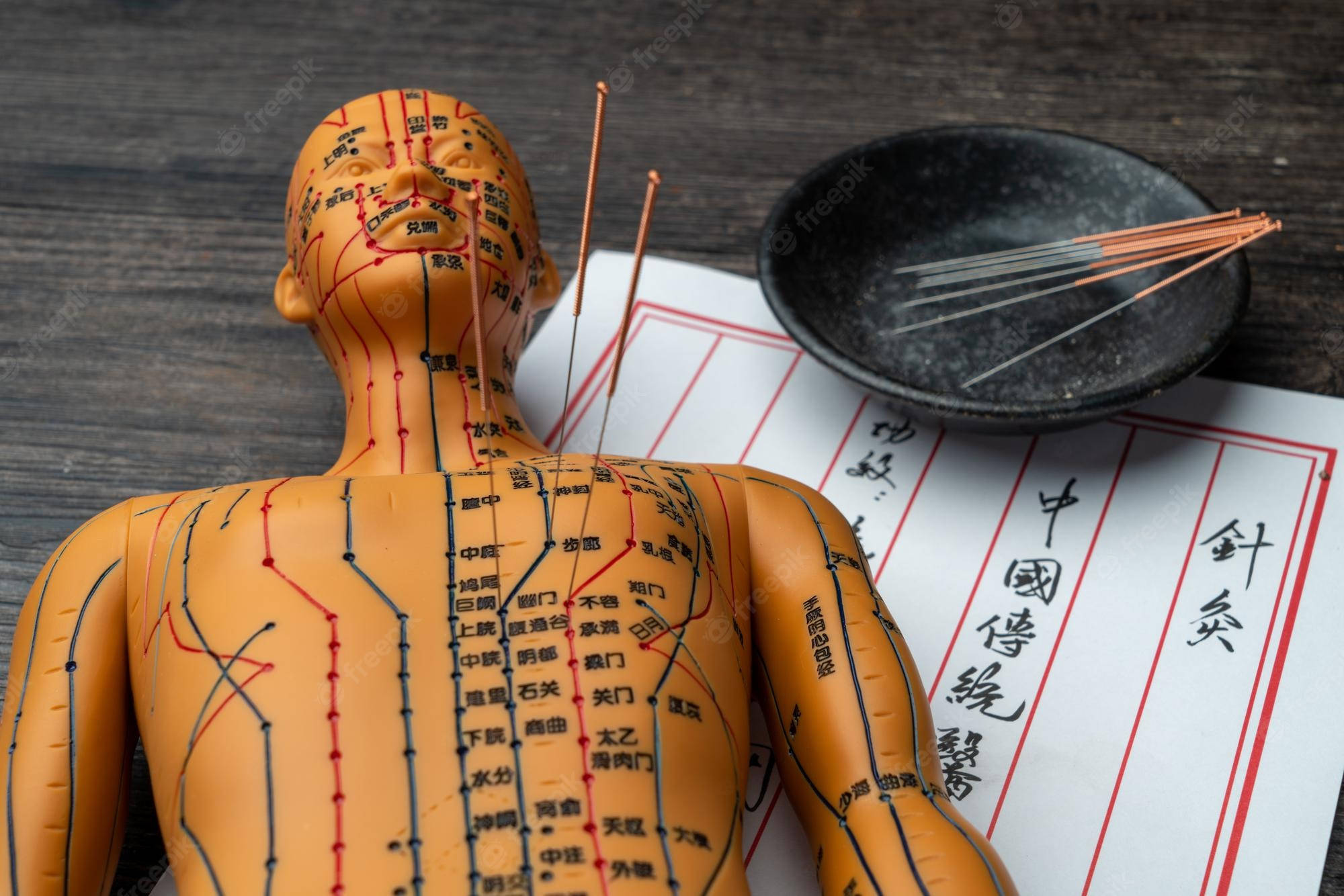 Download Acupuncturist Acupoints Needles Mannequin Wallpaper