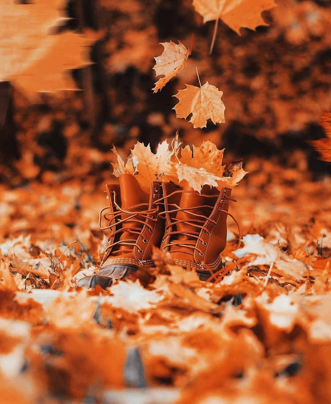 Download Aesthetic Fall Pictures | Wallpapers.com