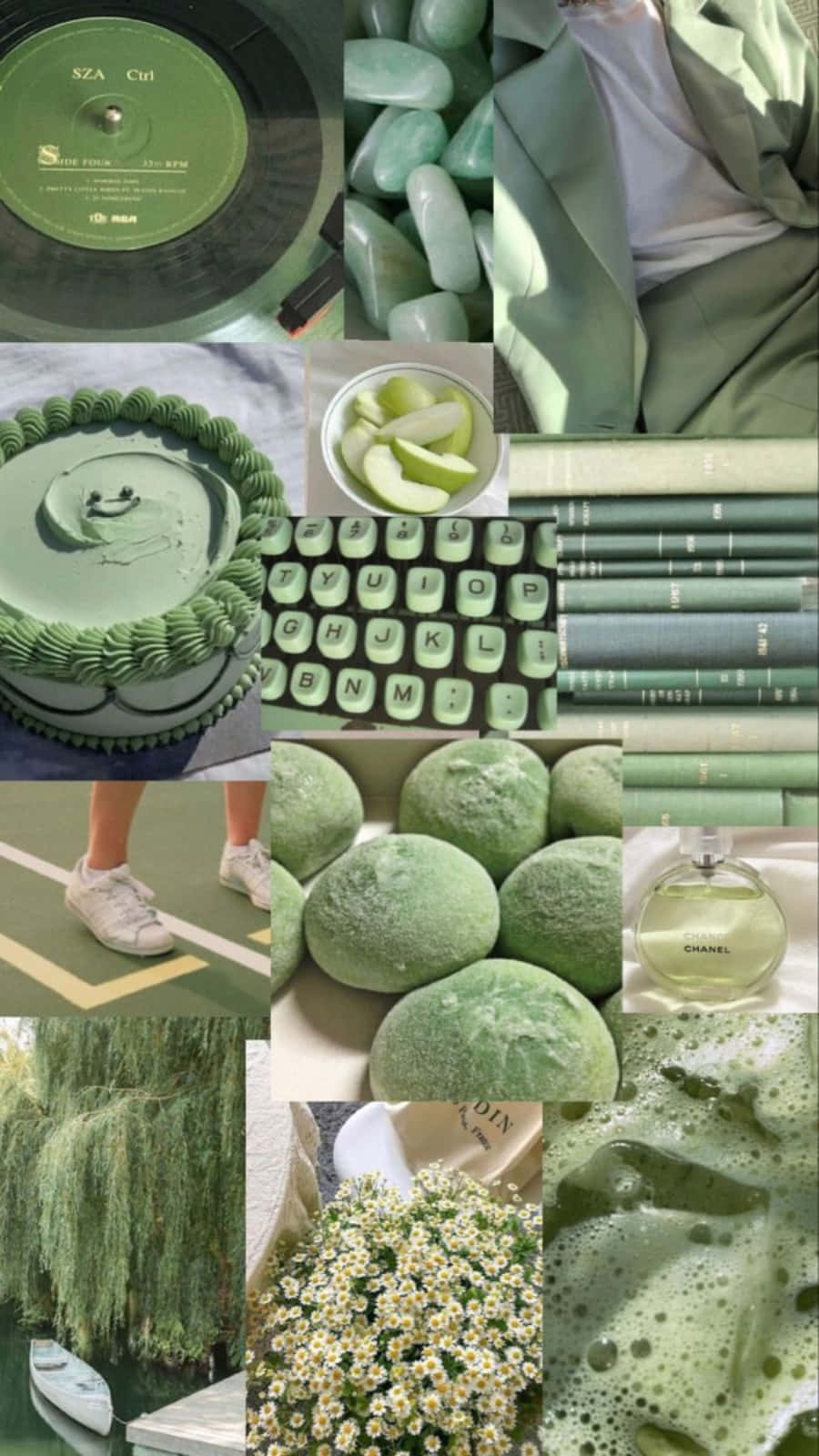 Download Aesthetic Sage Green Pictures 900 X 1600 | Wallpapers.com