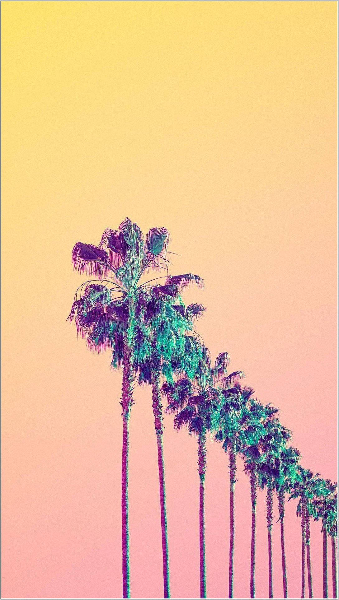 Aesthetic Yellow Vibes Palm Trees Background
