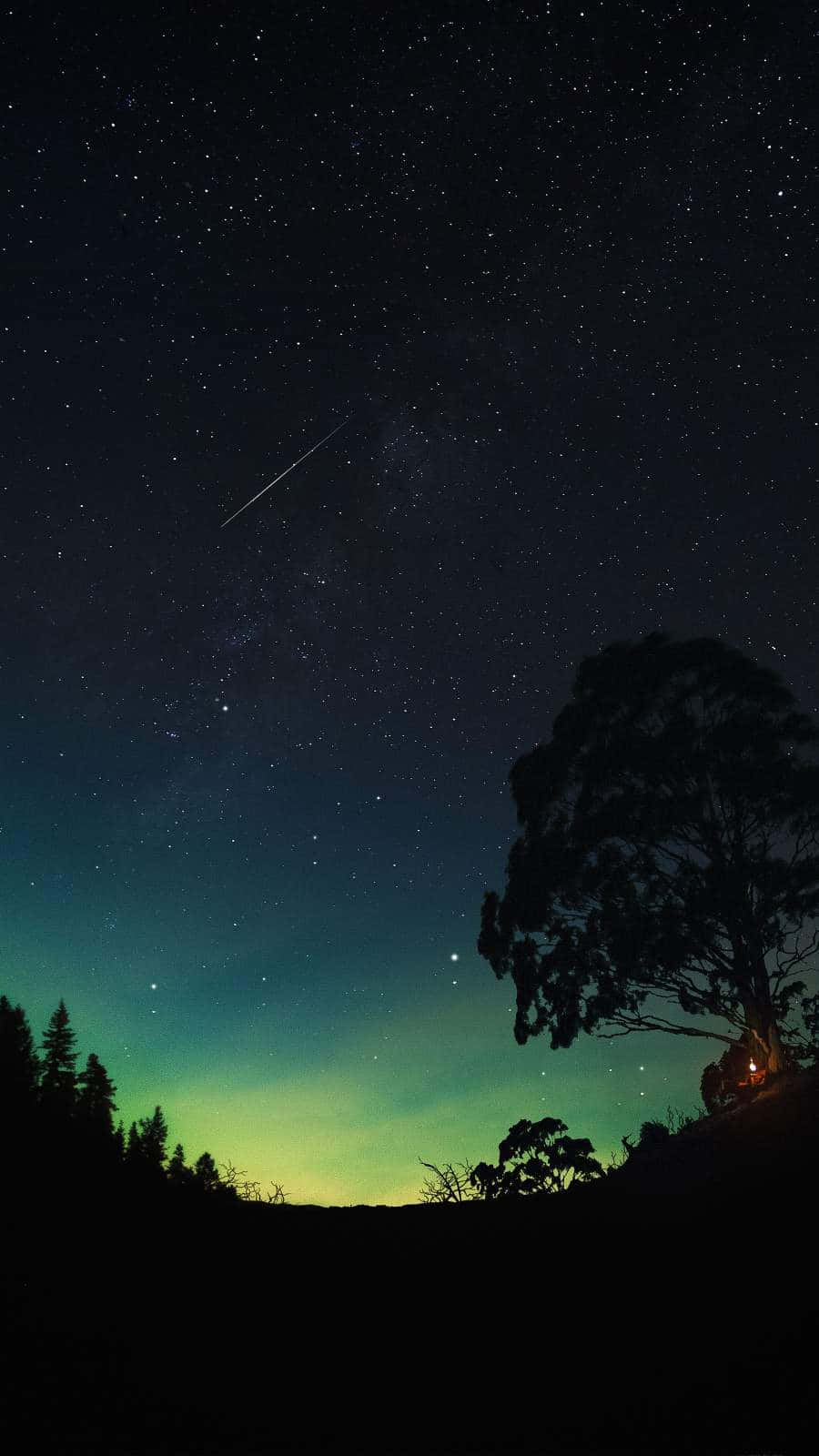 Download Captivating Ambience in Nature Wallpaper | Wallpapers.com