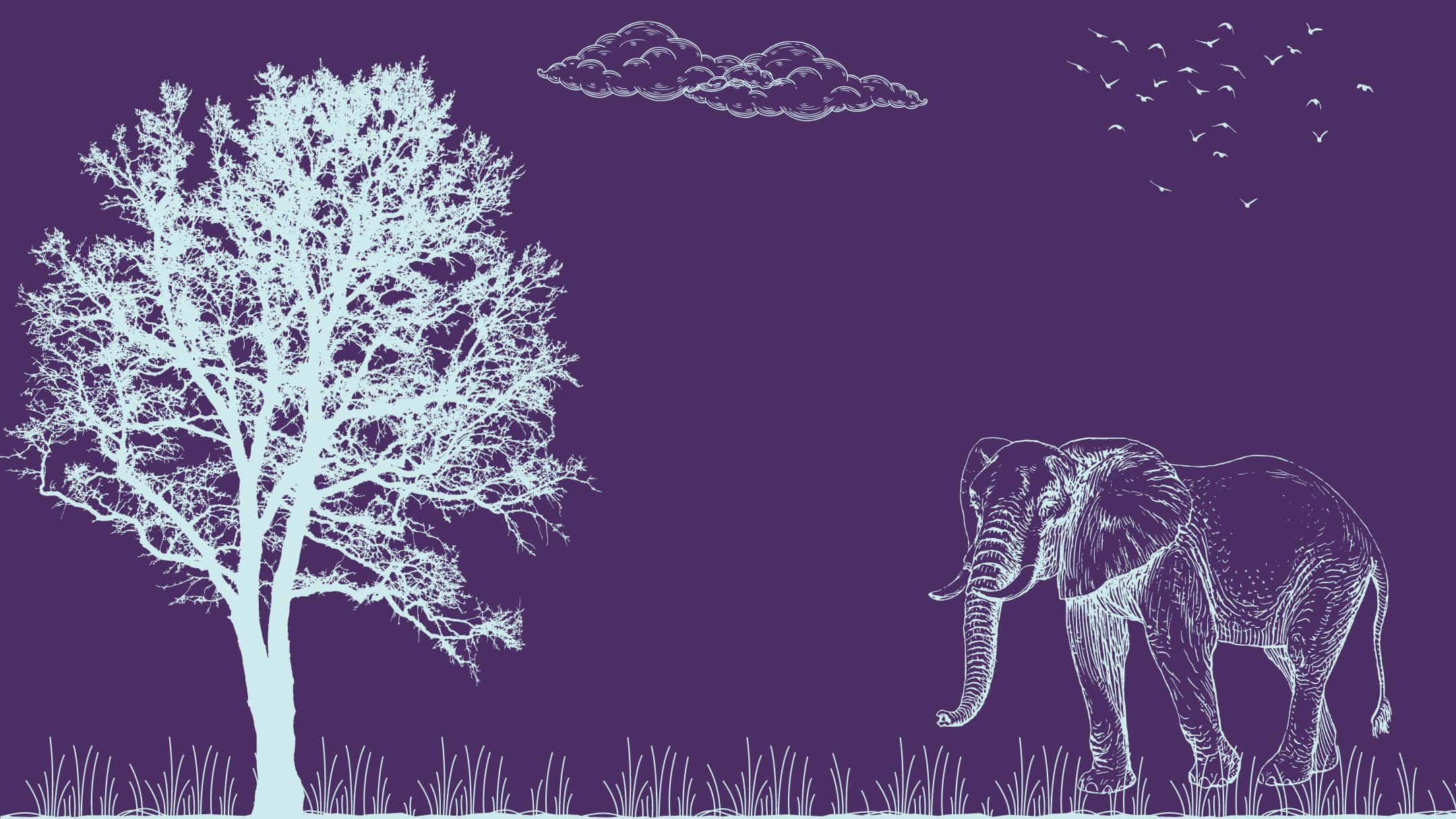 An Elephant And Tree In The Field Background