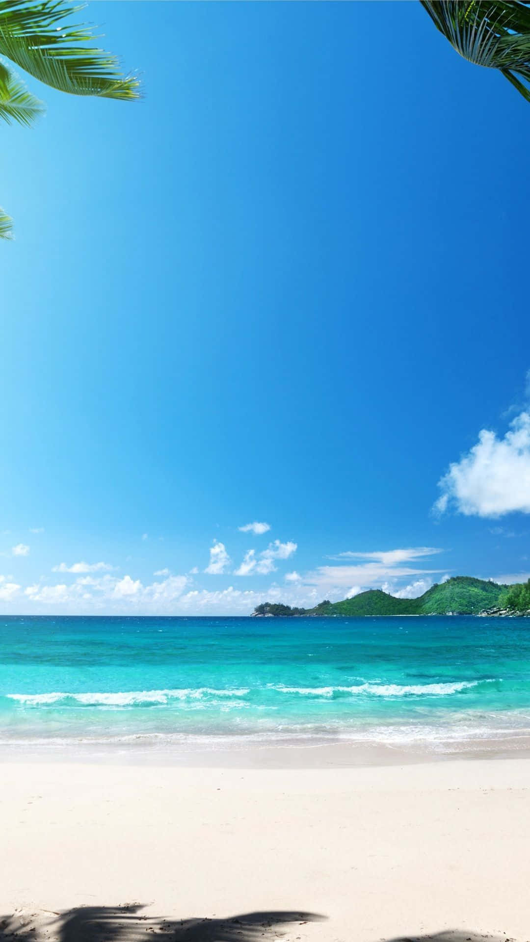 Download Android Summer Background | Wallpapers.com