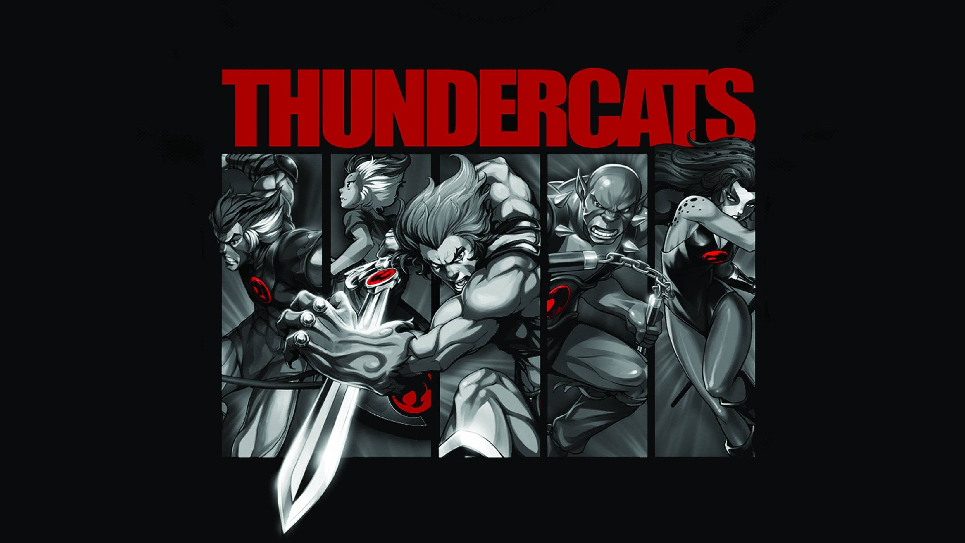 Download Animated Thundercats Series Wallpaper 