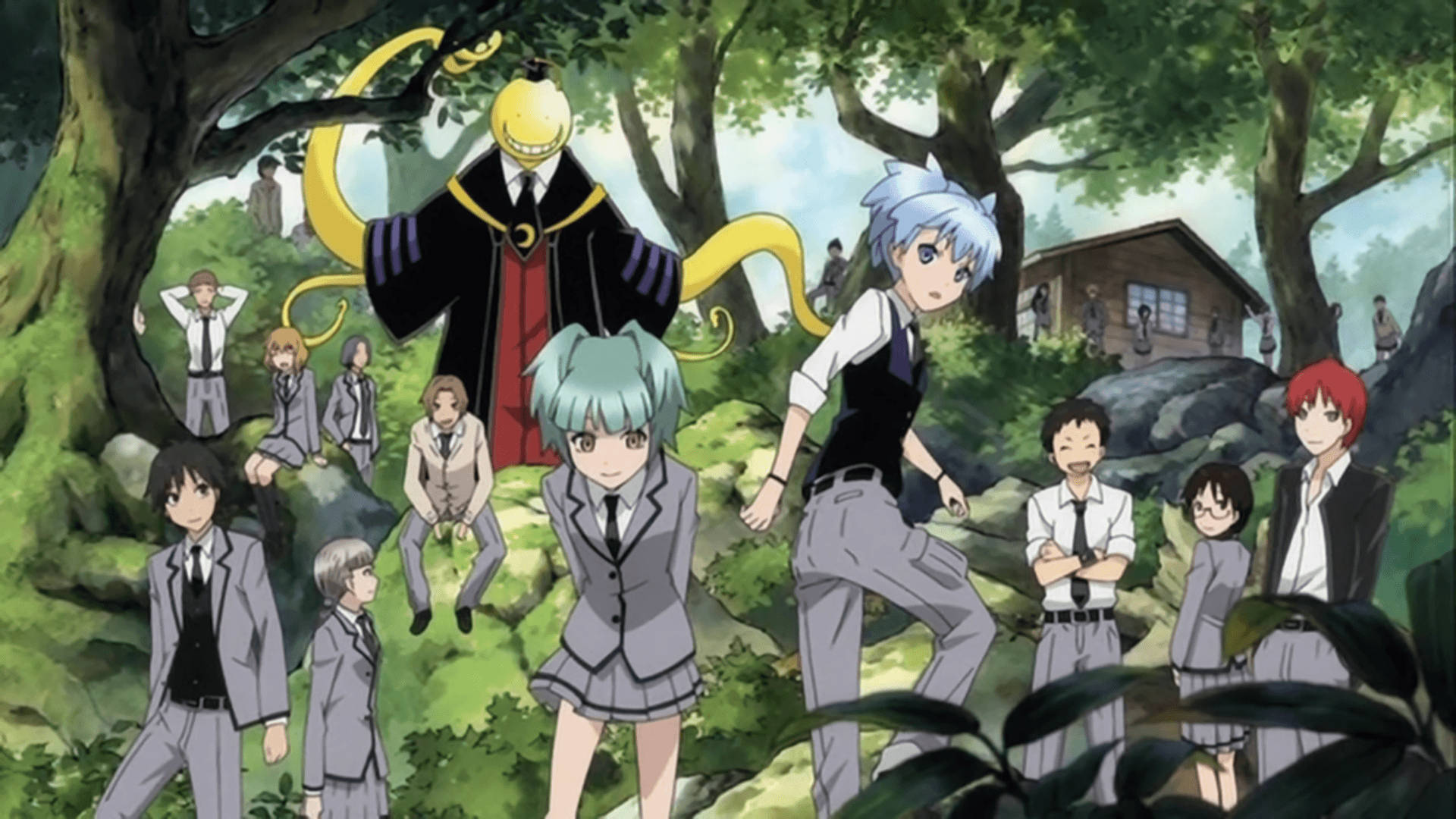 Assassination Classroom In The Forest Background