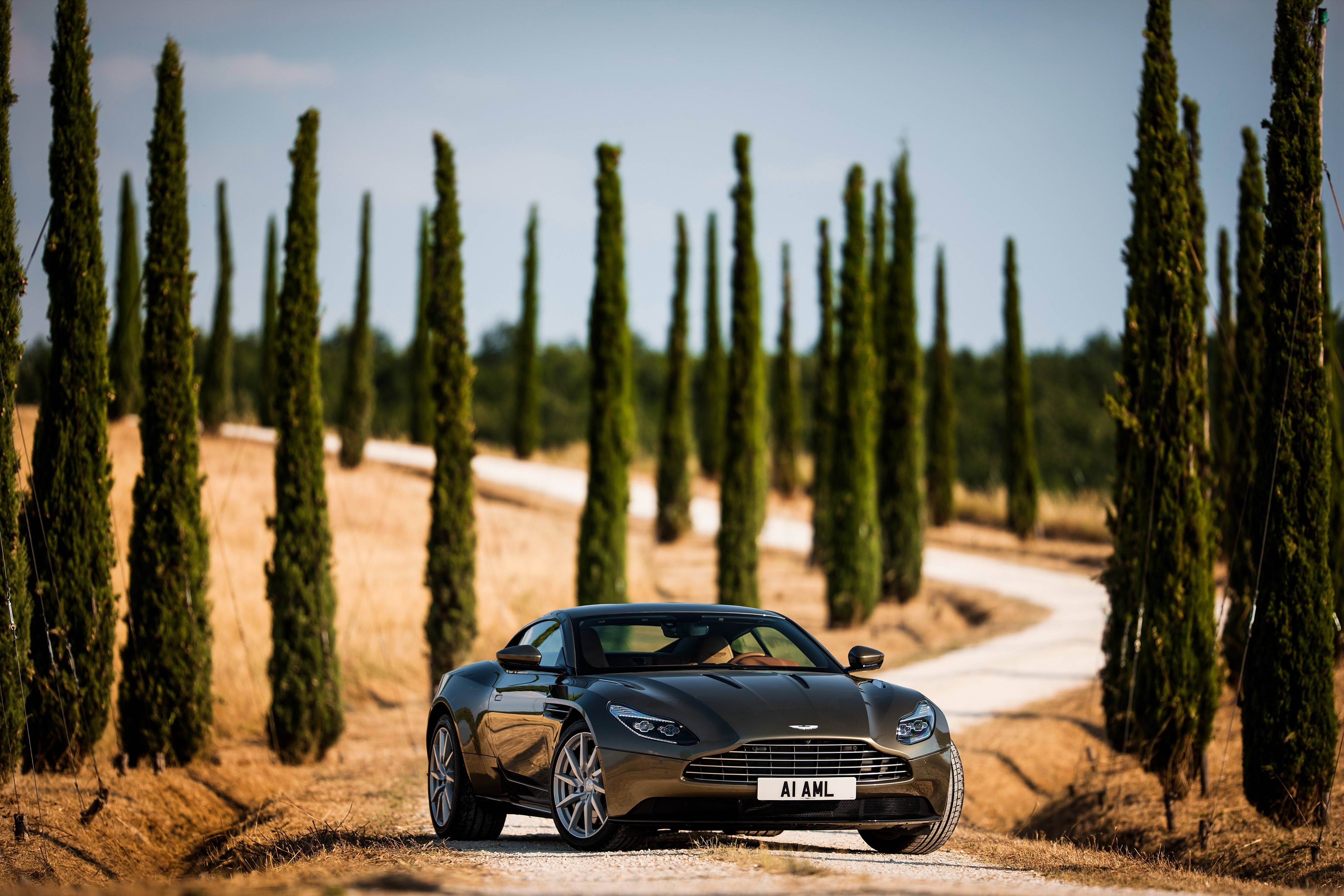 Aston Martin Black Vanquish Background