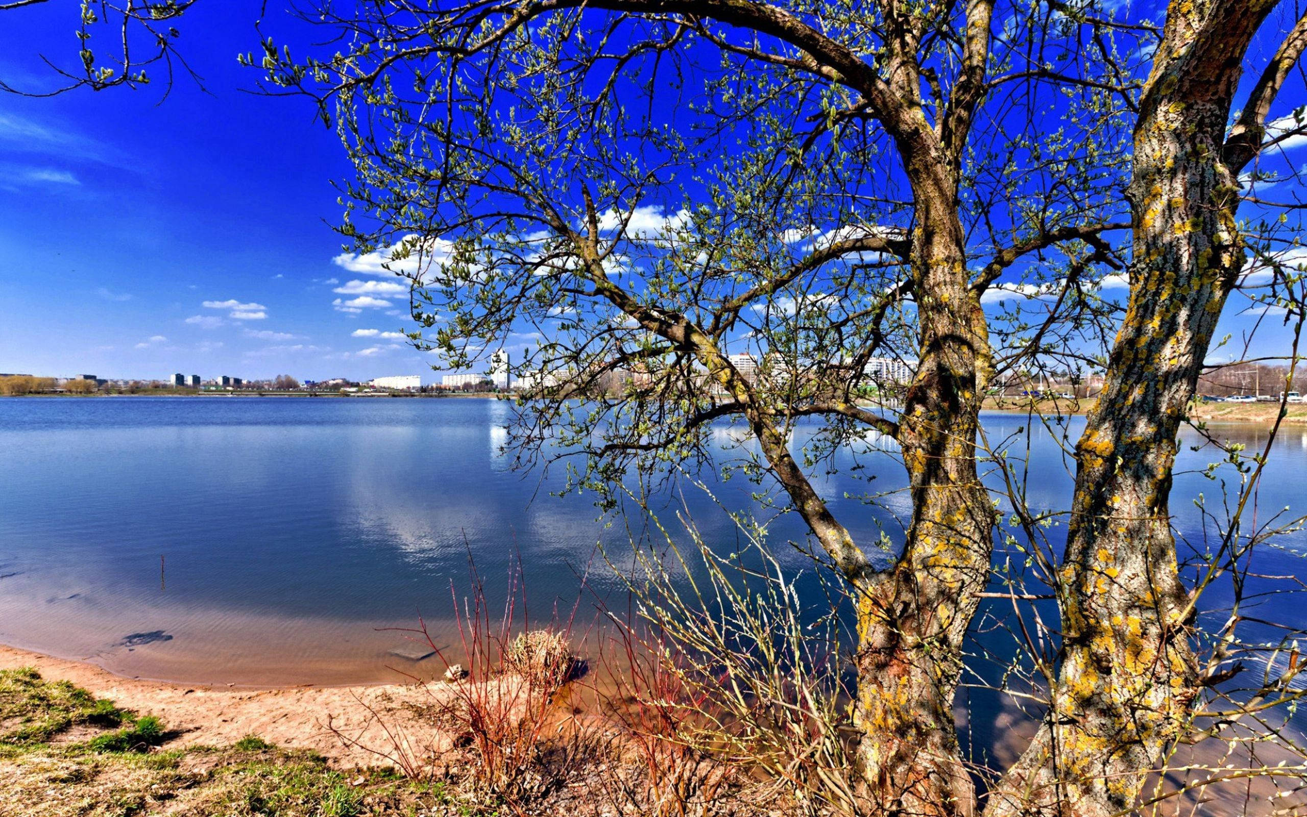 Attractive Lake Nature Background