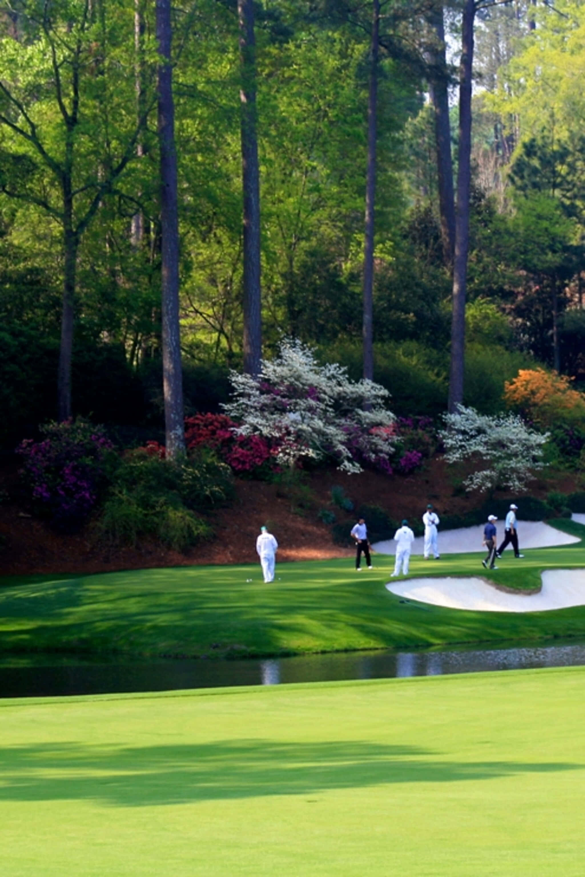 Download Enjoy the lush green splendor of Augusta National Wallpaper