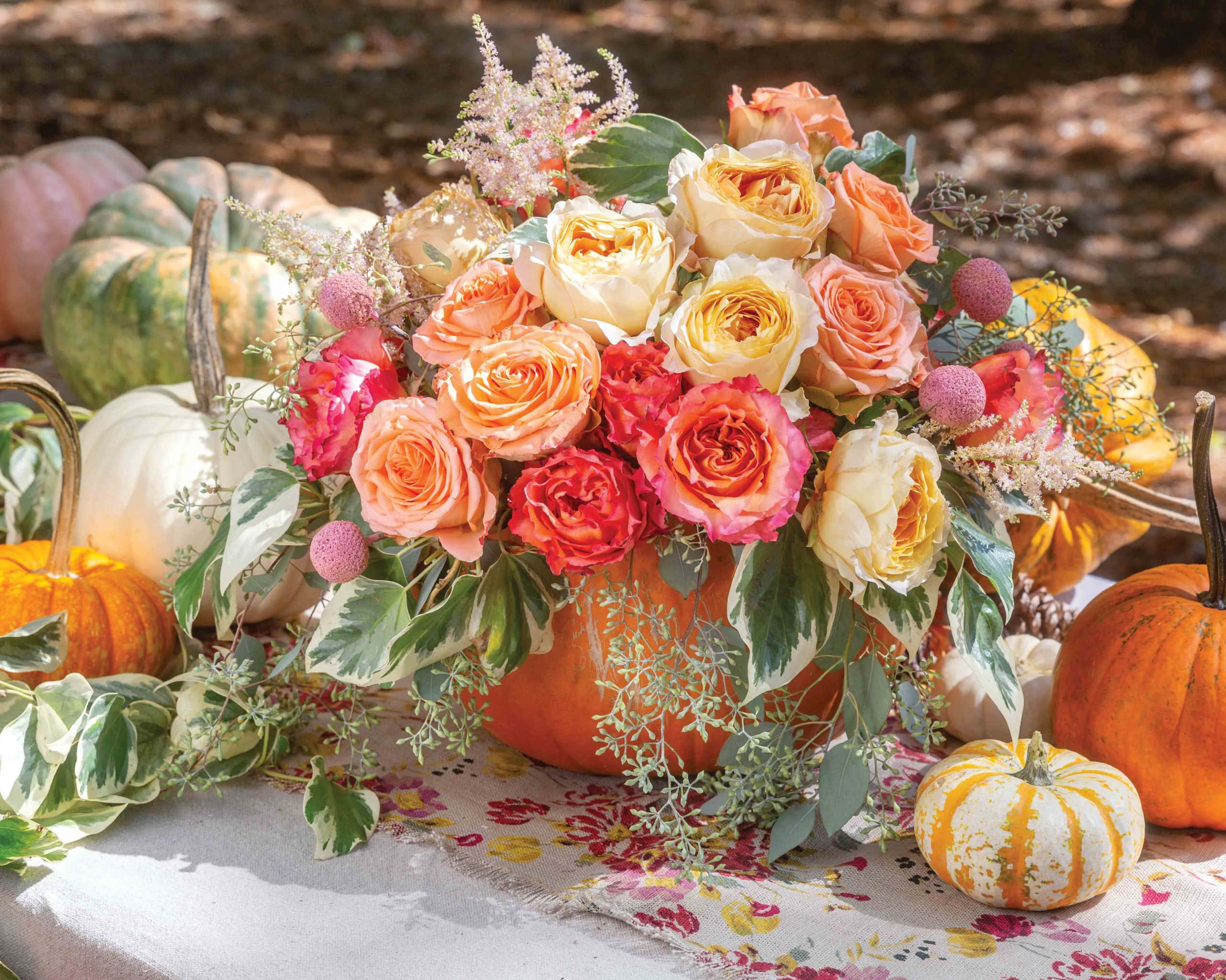 Download A colorful array of Autumn harvest displayed on a wooden table ...
