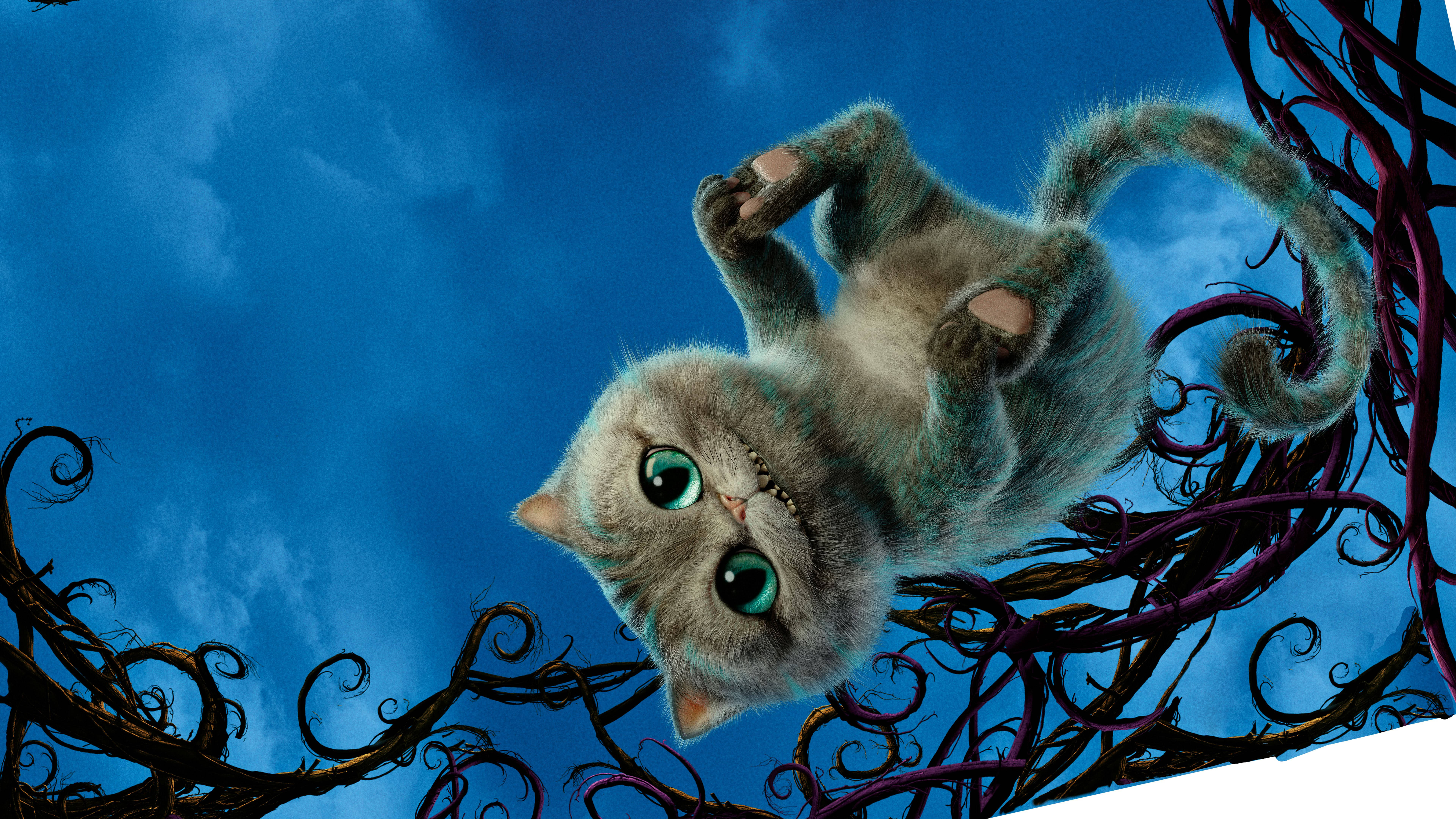 Baby Cheshire Cat Background