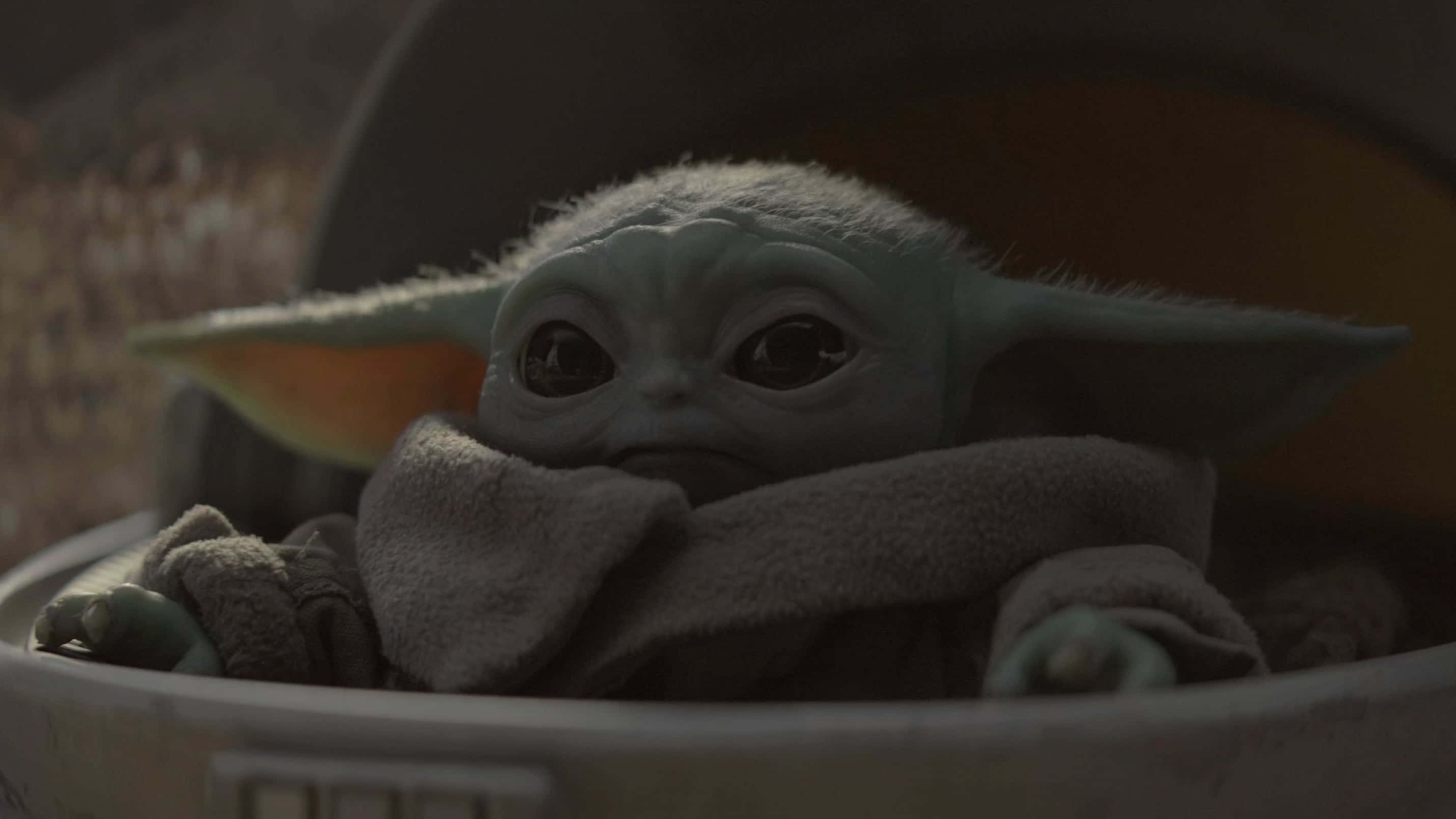 Download Baby Yoda Zoom Background | Wallpapers.com