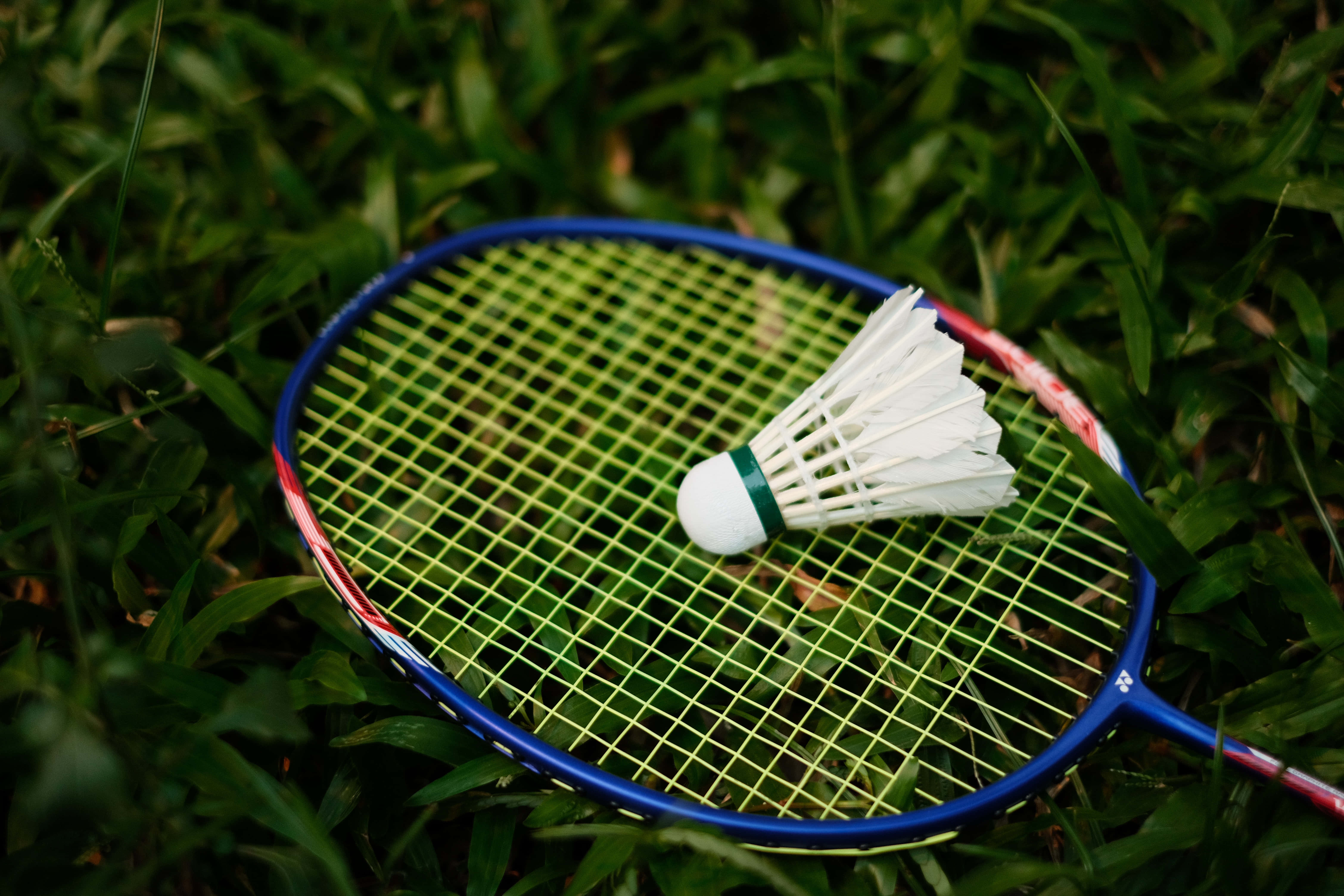 Download A Close-Up Shot of Badminton Players in Action | Wallpapers.com