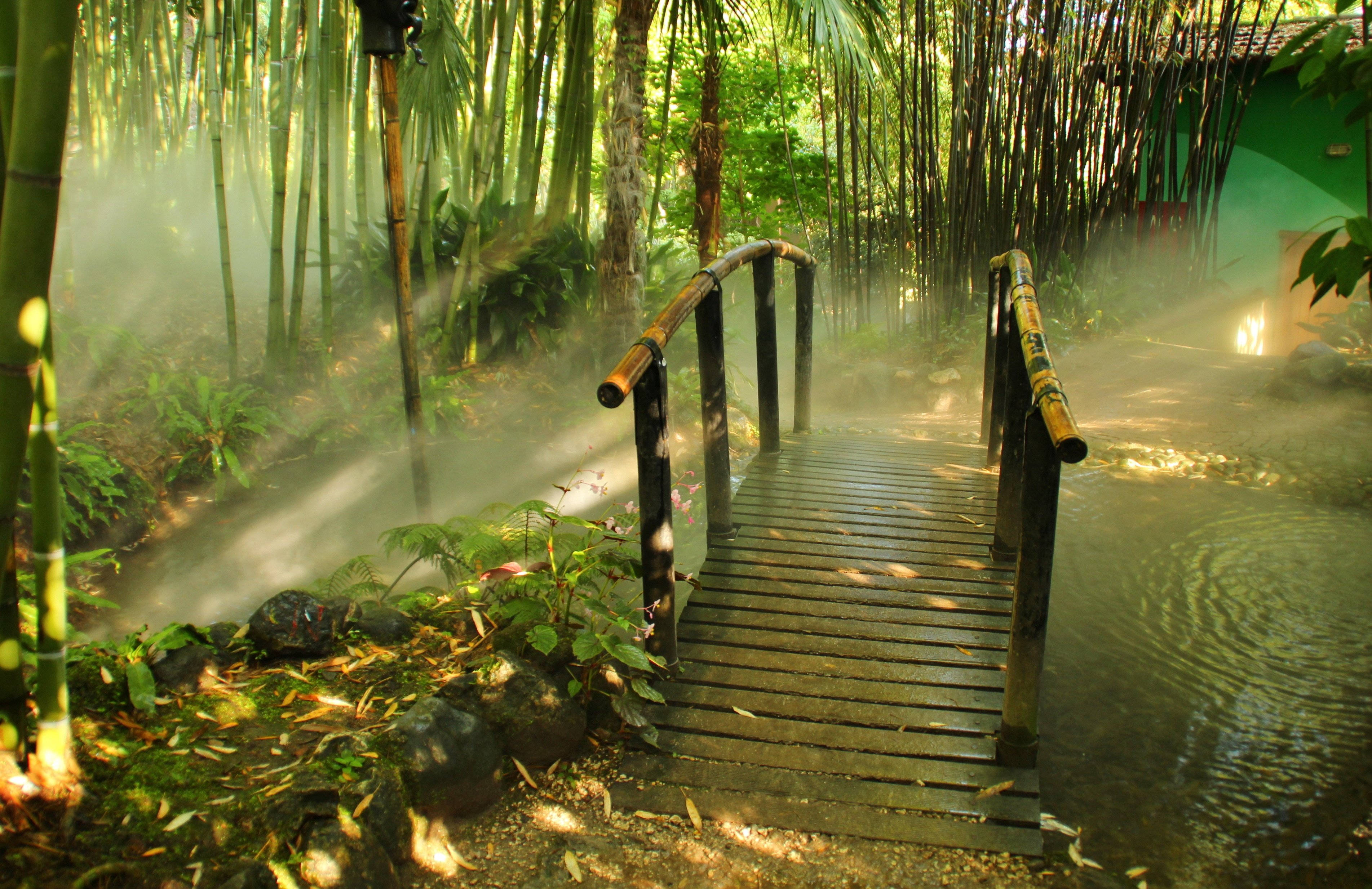 Download Bamboo 4k Forest Garden With Bridge Wallpaper 