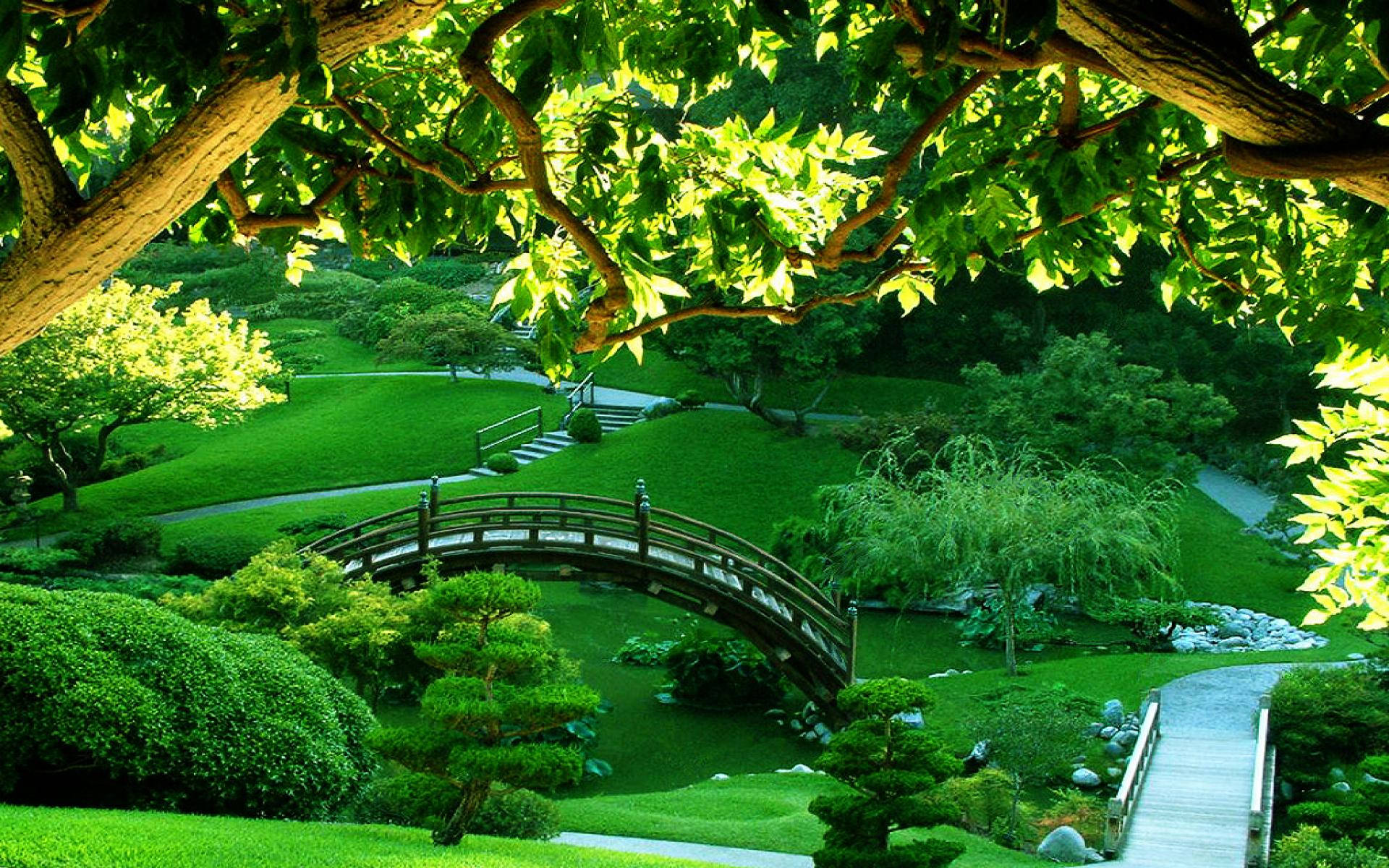 Beautiful Nature Green Park Background