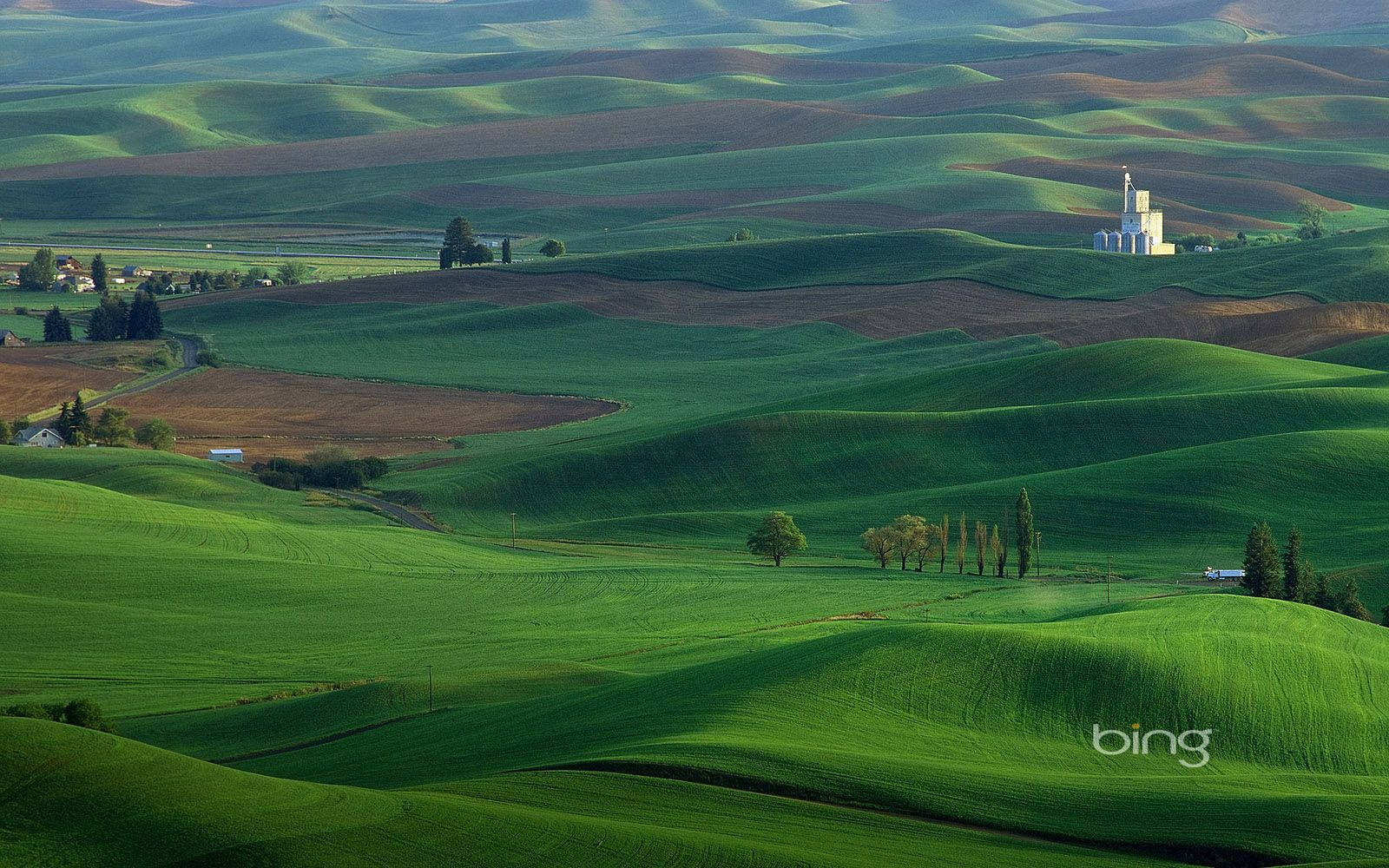 Bing Green Landscape Background