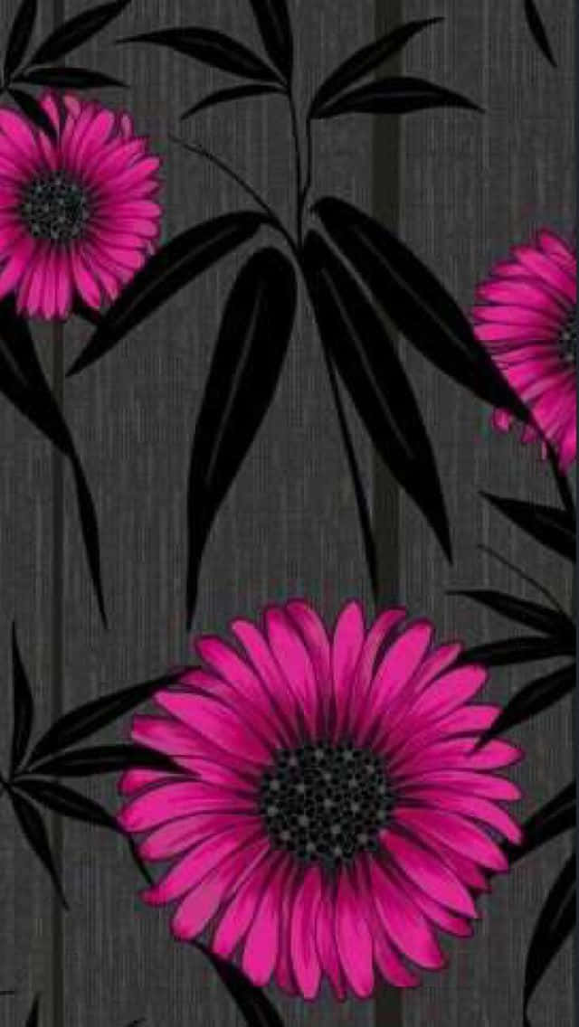 Download Black And Pink Floral Wallpaper | Wallpapers.com