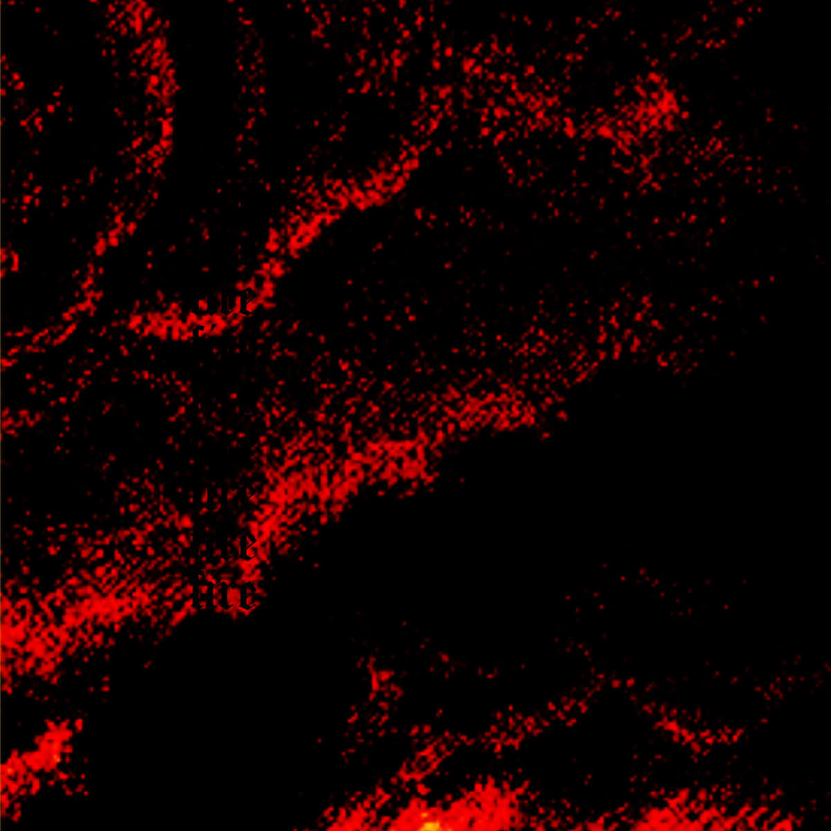 Download The Mystical Black Aura Wallpaper | Wallpapers.com