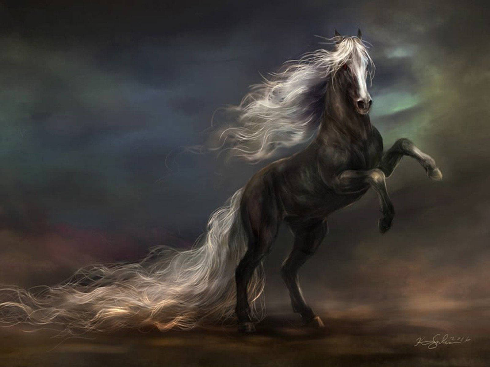 Black Horse Digital Art Background