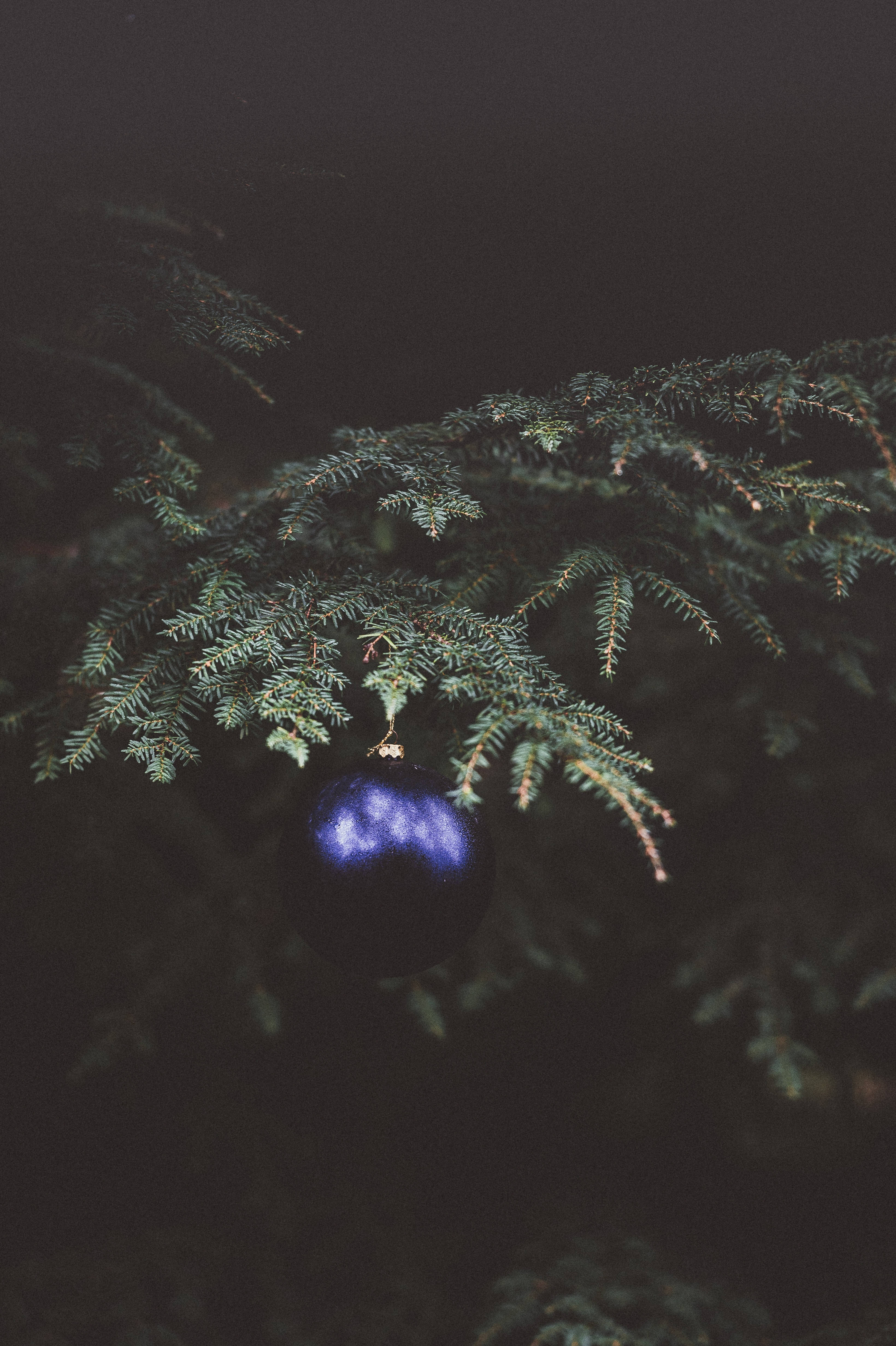 Blue Ball On Christmas Tree Background