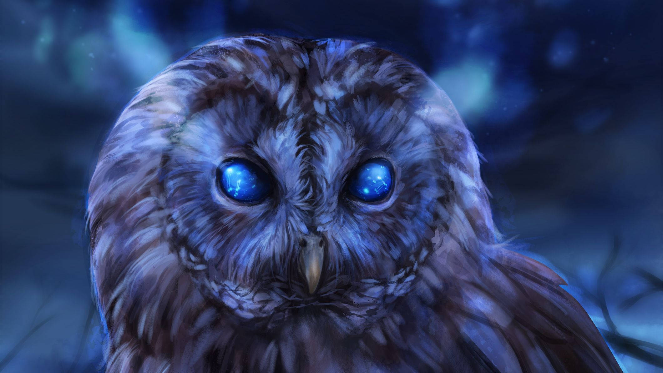 Download Blue Owl Magical Eyes Wallpaper 