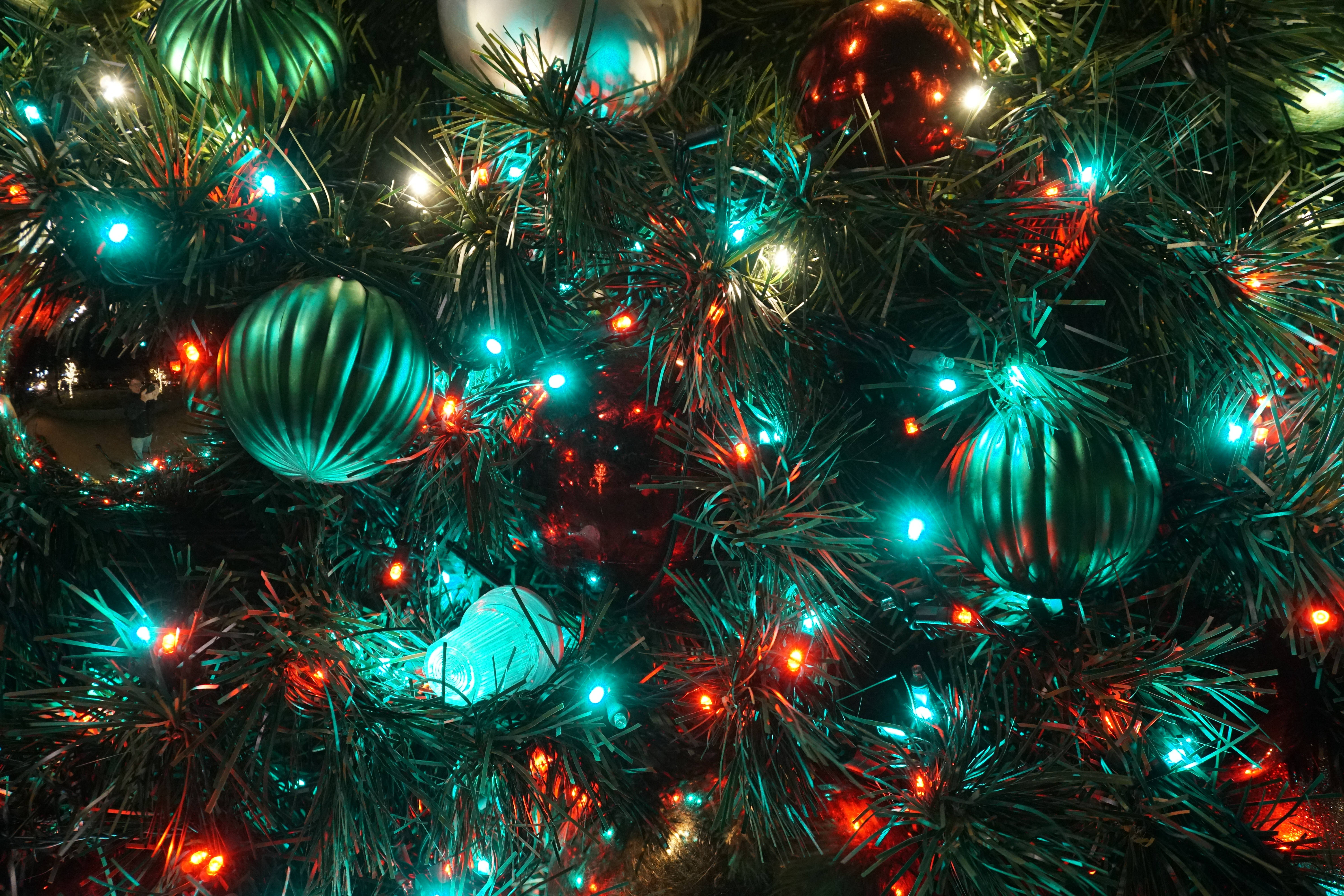 Blue Red Christmas Lights Tree Background