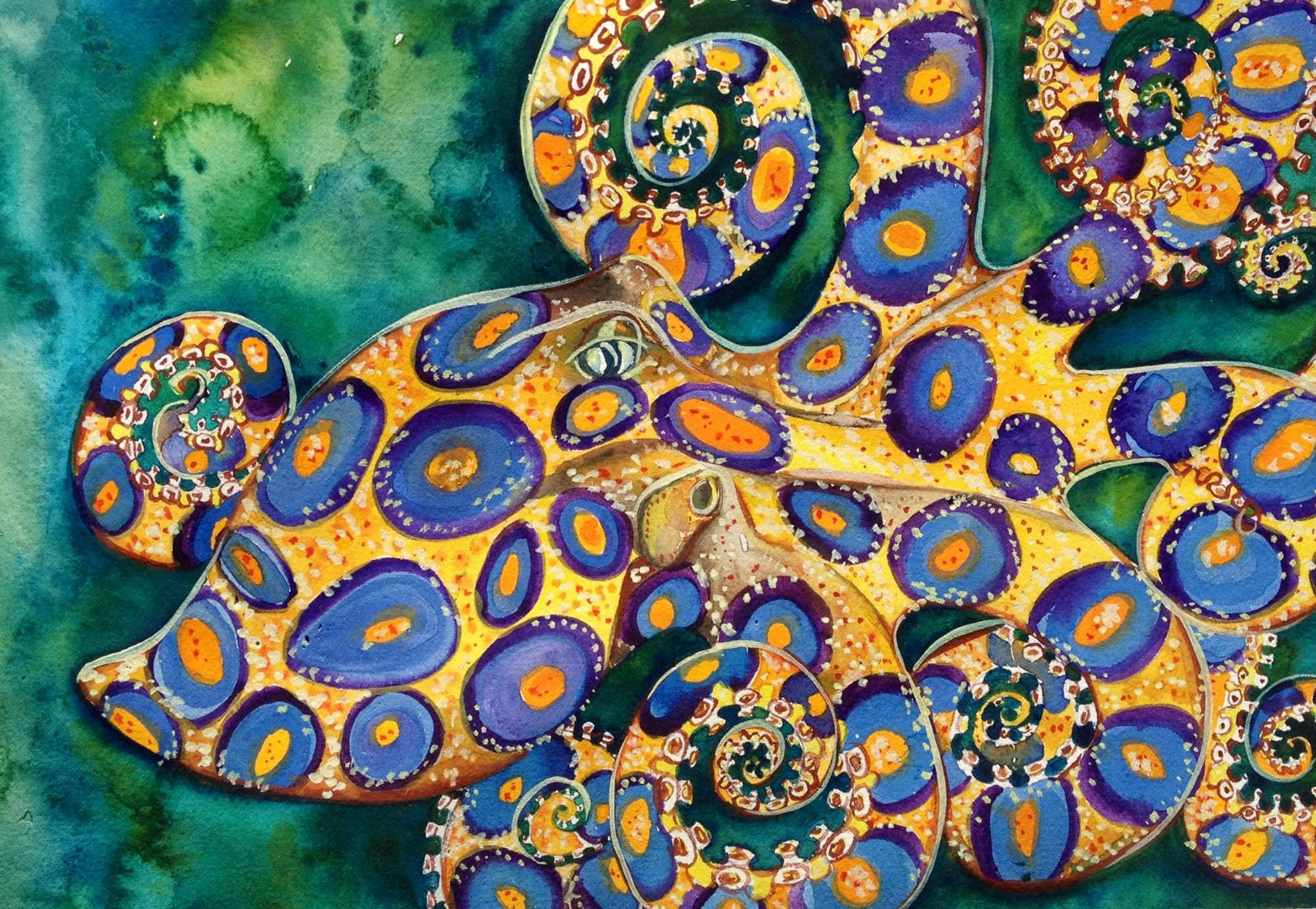 Blue Ringed Octopus Background