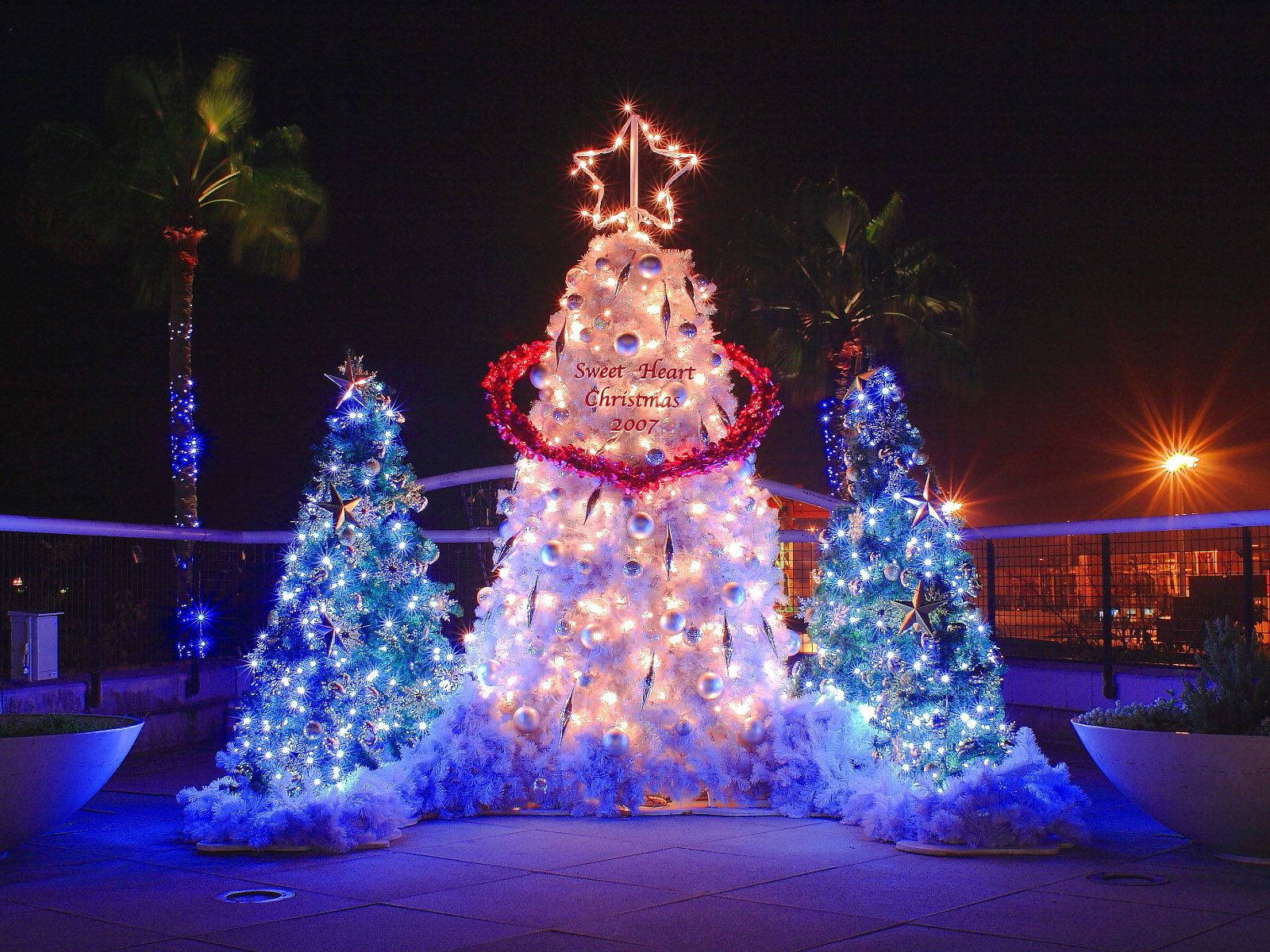 Blue Tree Christmas Lights Deck Background