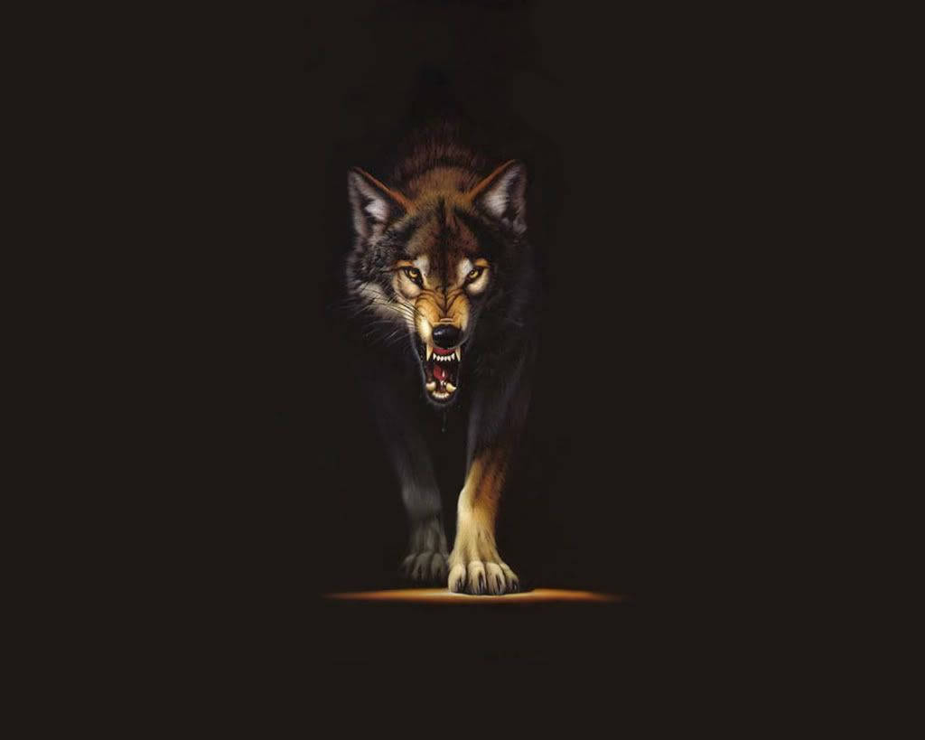 Brown Angry Wolf Background