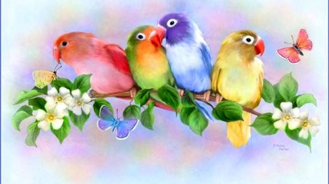 Butterfly And Love Birds Background