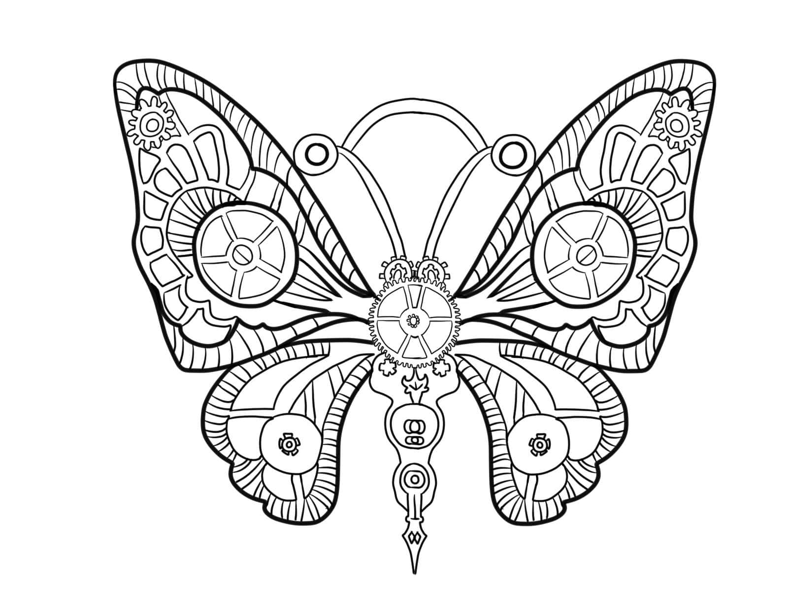 Download Butterfly Coloring Pages 1600 X 1200 Wallpaper Wallpaper