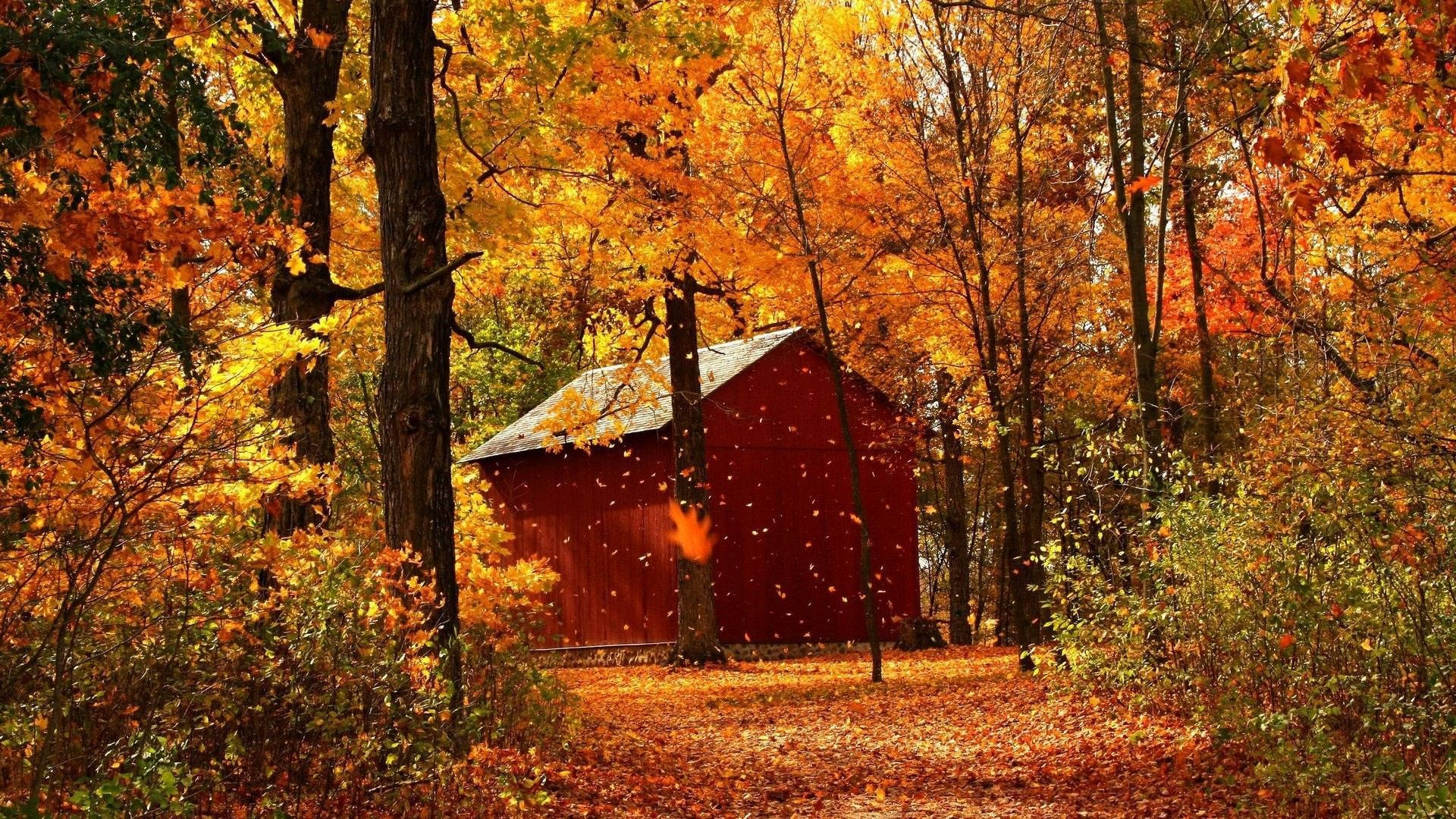 Cabin In Woods Fall Background