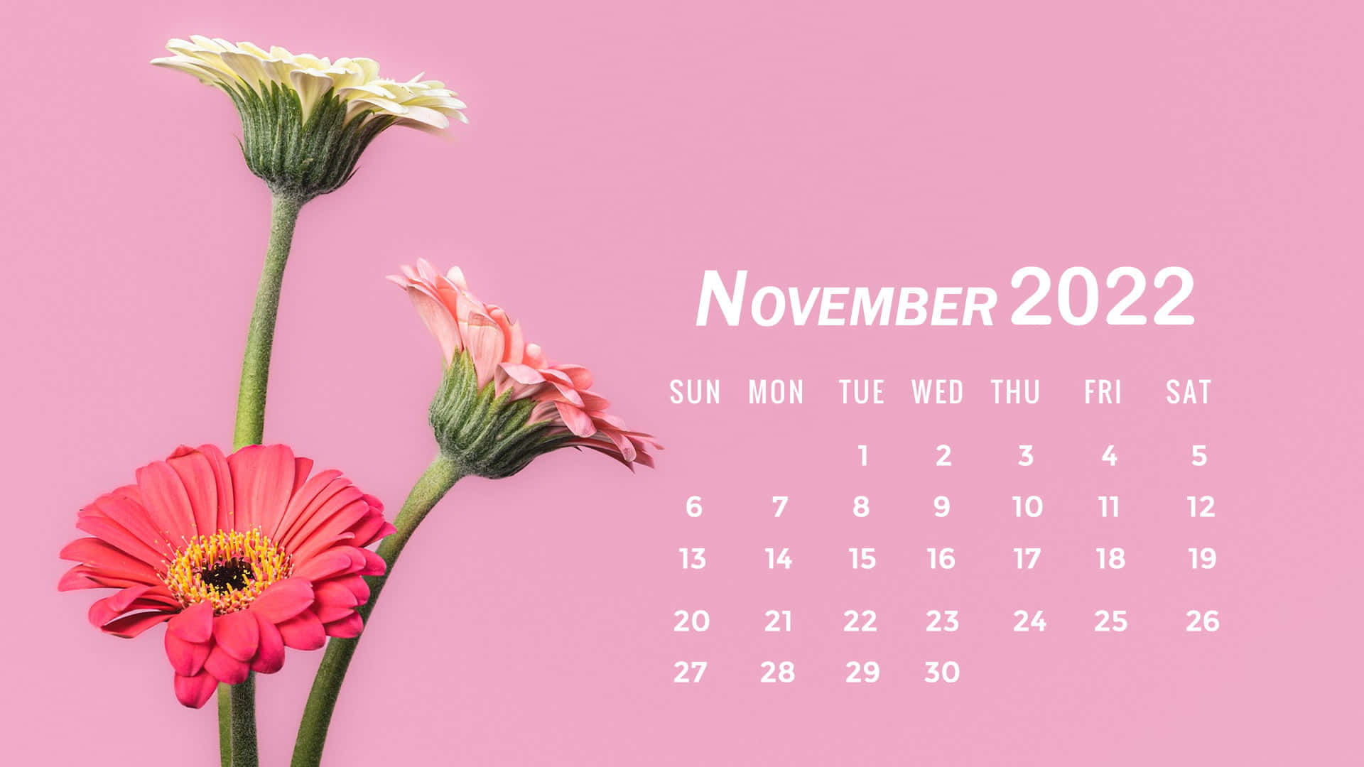 Download Calendar Background | Wallpapers.com