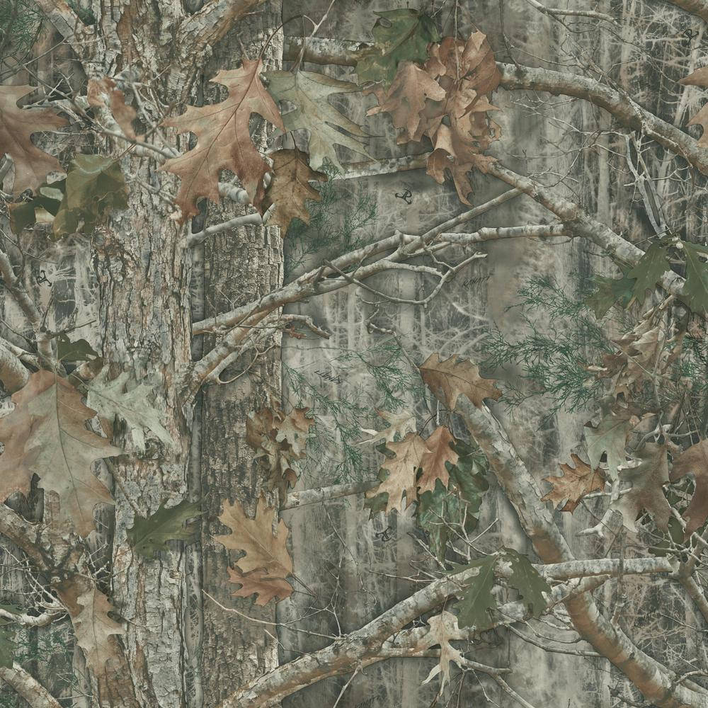 Camo Forest Woods Background