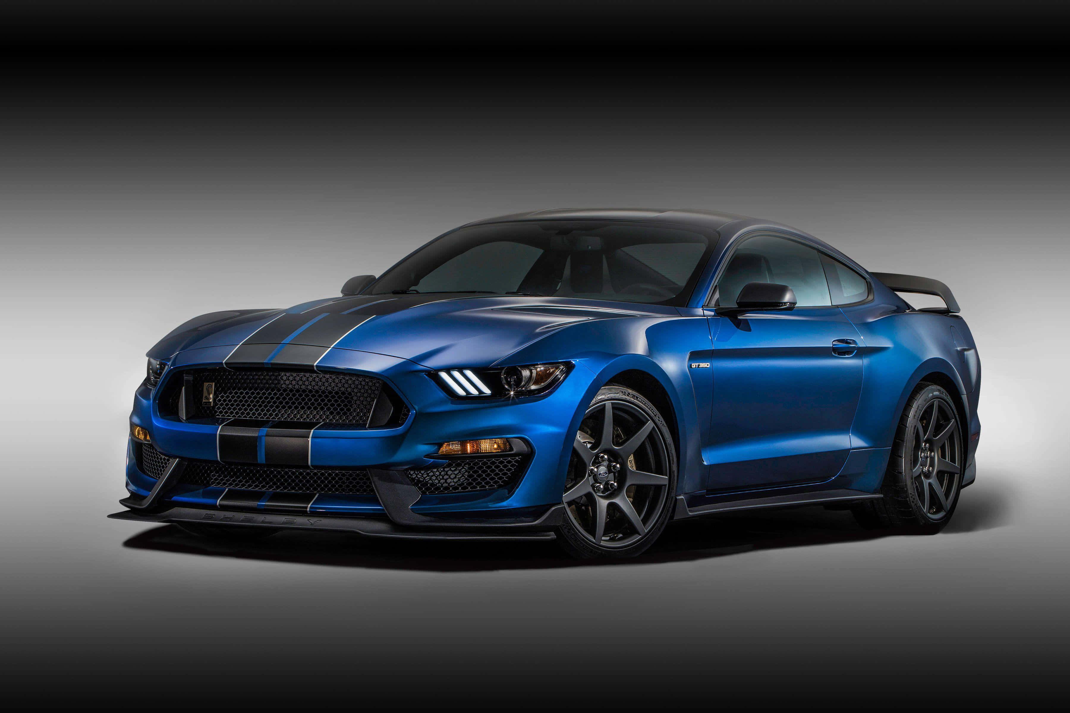 Shelby. Форд Мустанг Шелби gt 350. Ford Shelby gt350r. Форд Мустанг ГТ 2016. Постер Ford Mustang gt500.