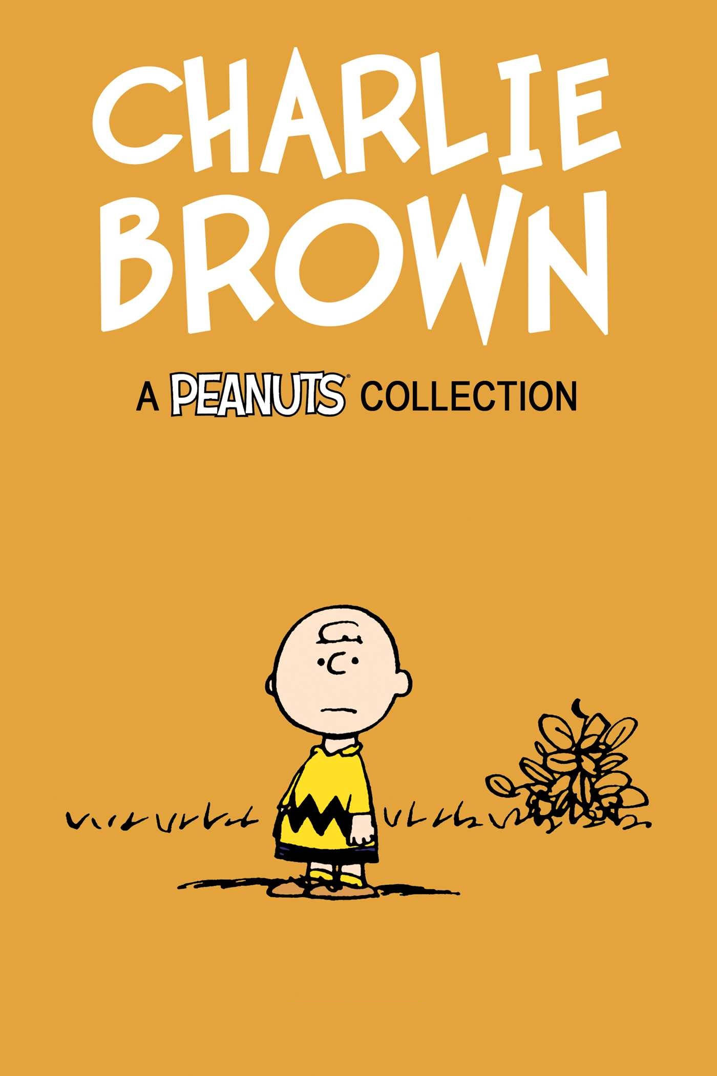 Charlie Brown Peanuts Collection Background