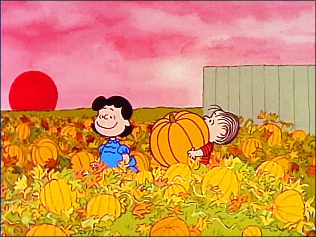 Charlie Brown Picking Pumpkins Background