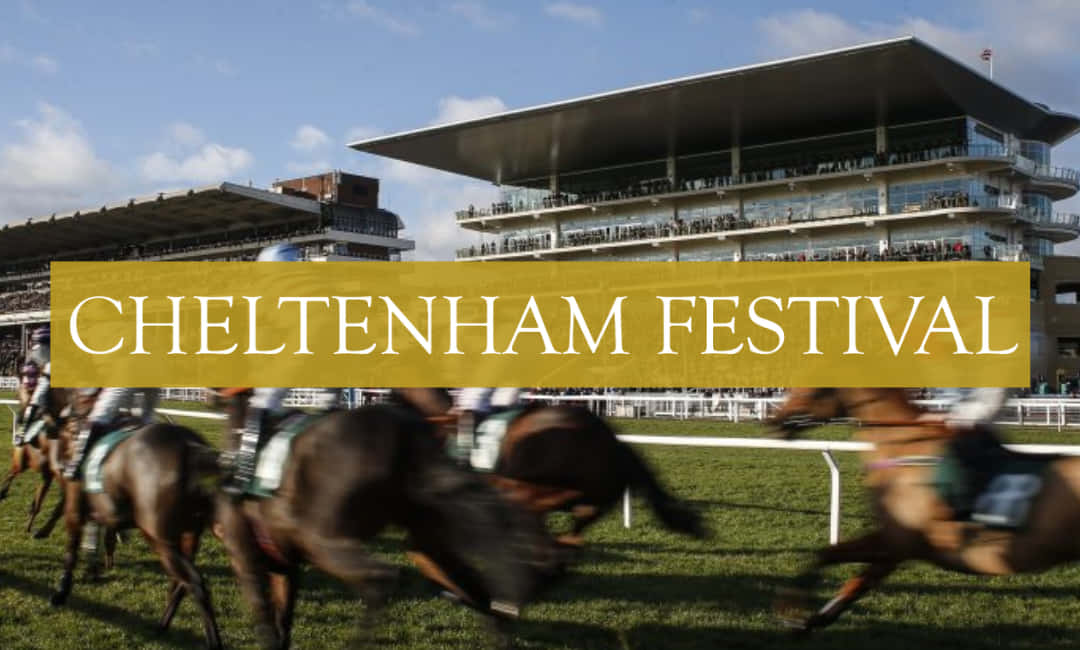 Download Exciting horse race at the Cheltenham Festival Wallpaper