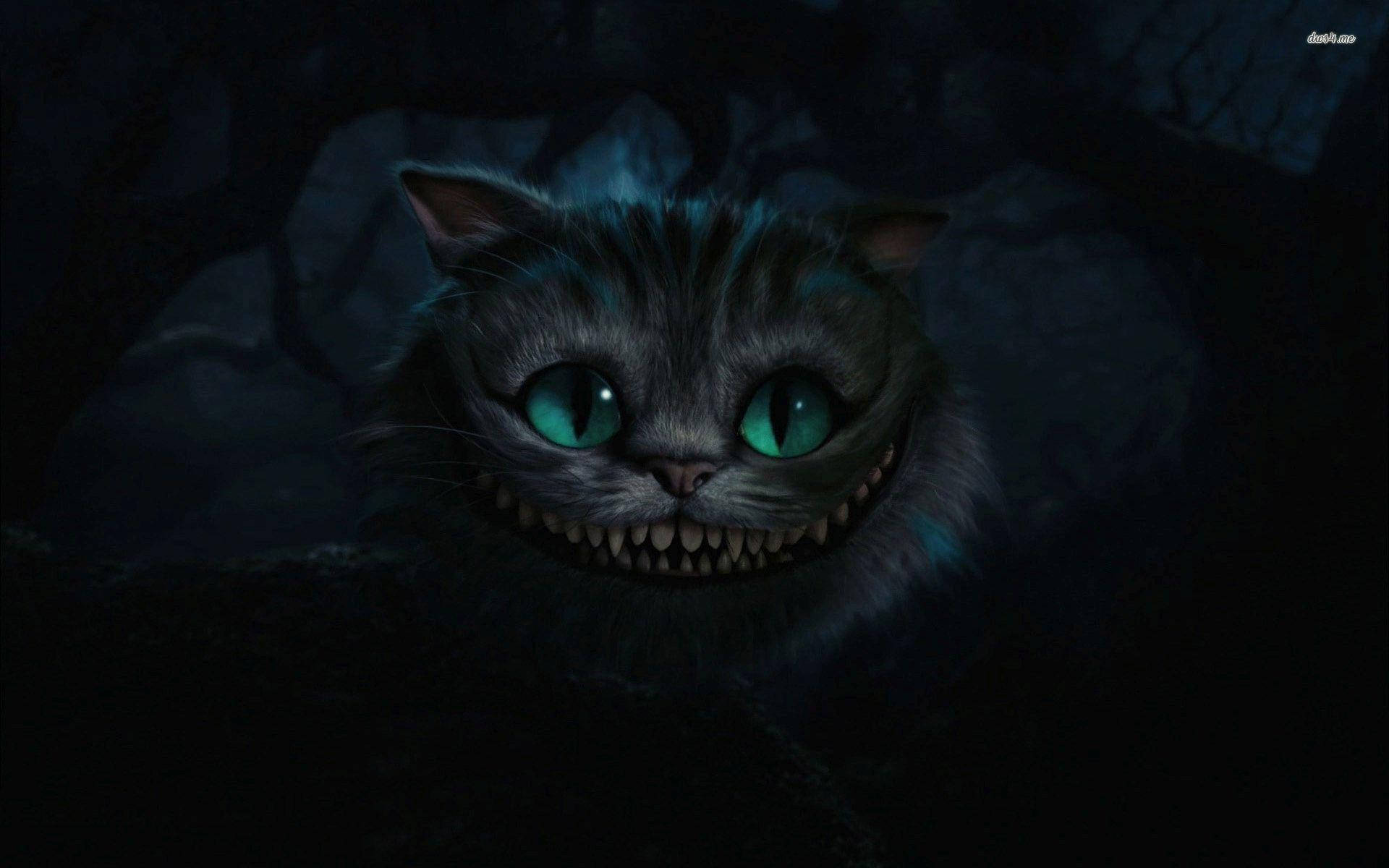 Cheshire Cat Close-up Background