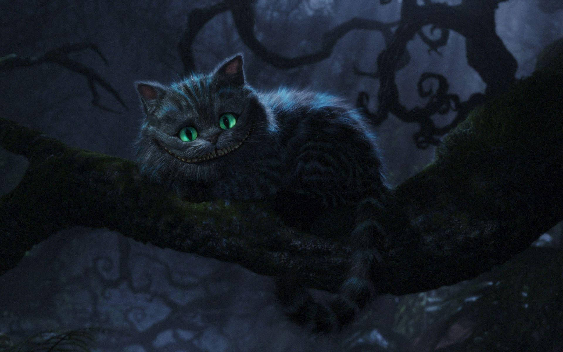 Cheshire Cat Dark Forest Background