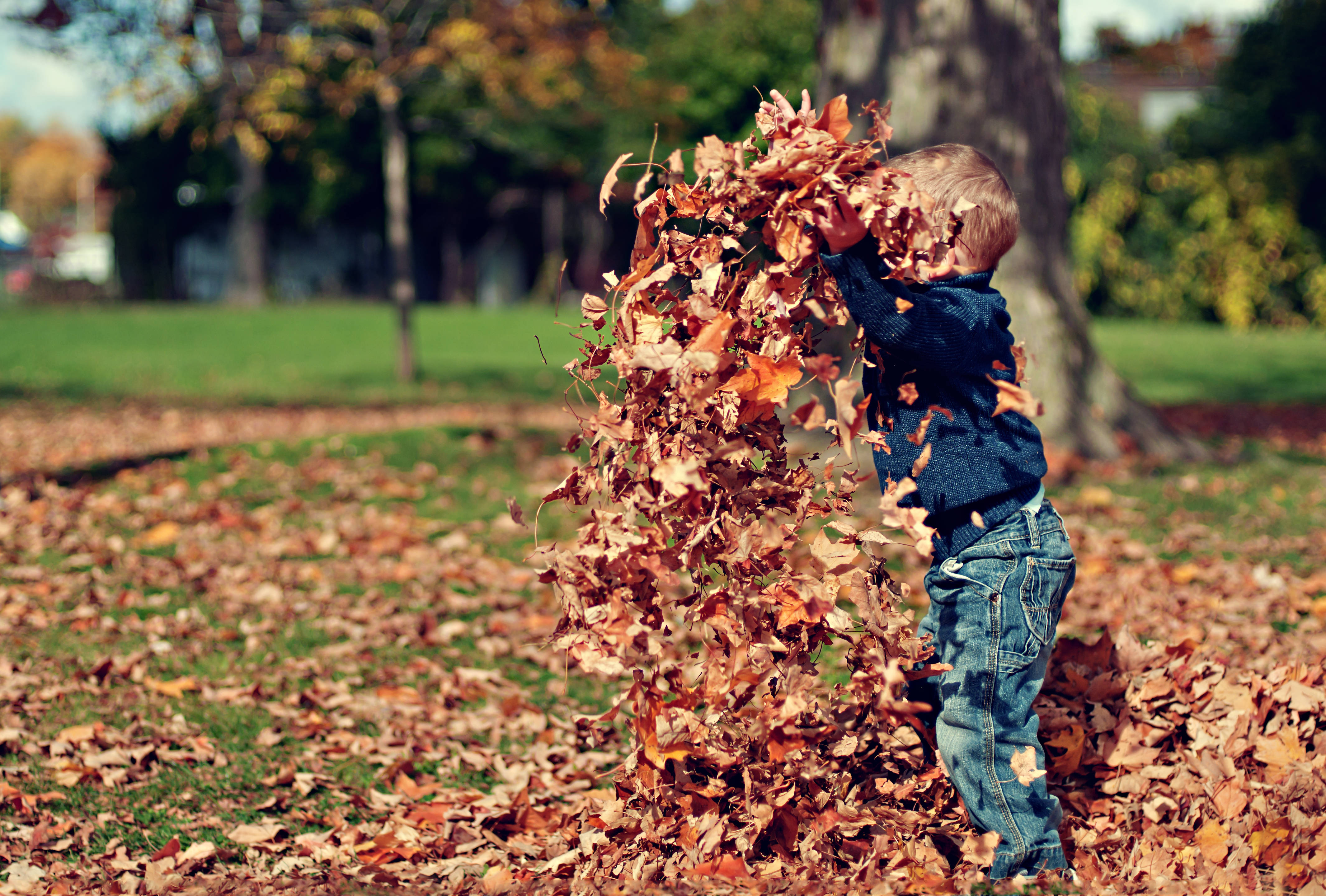 Child Playing During Fall Background