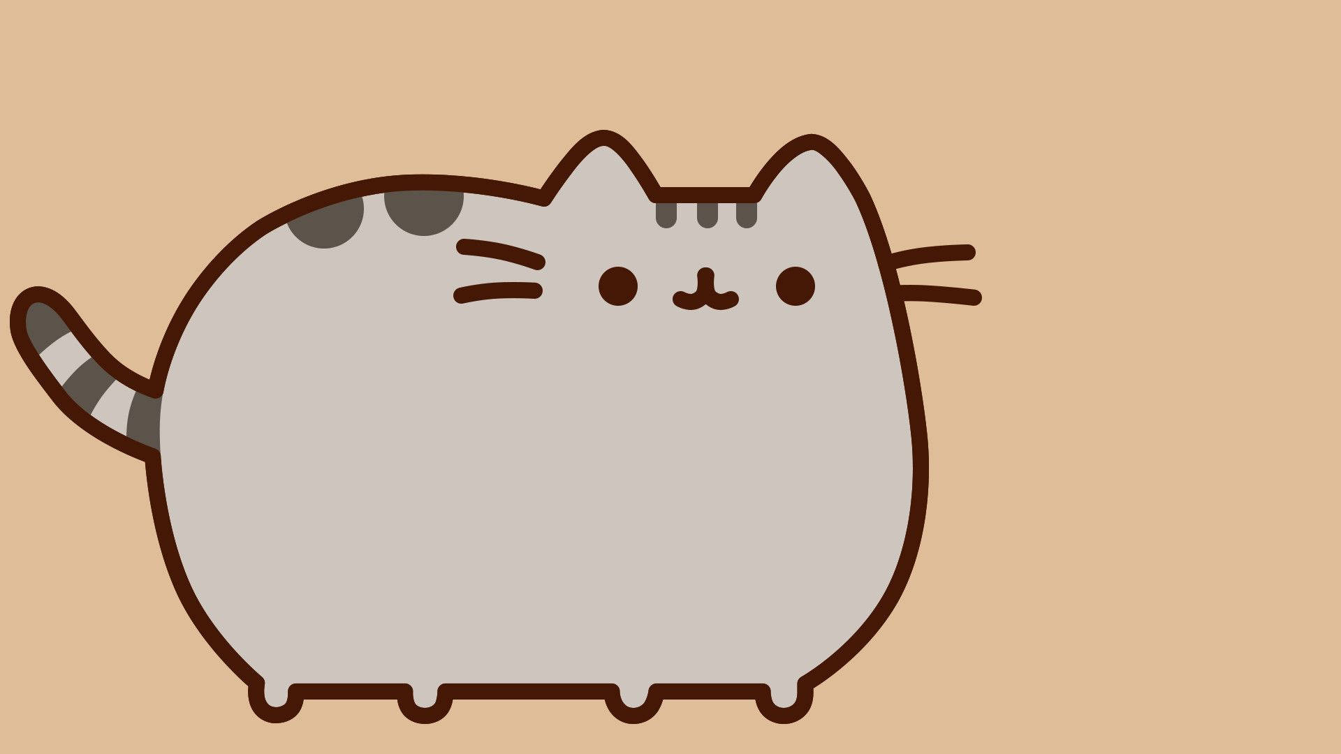 Chubby Pusheen Cat Background