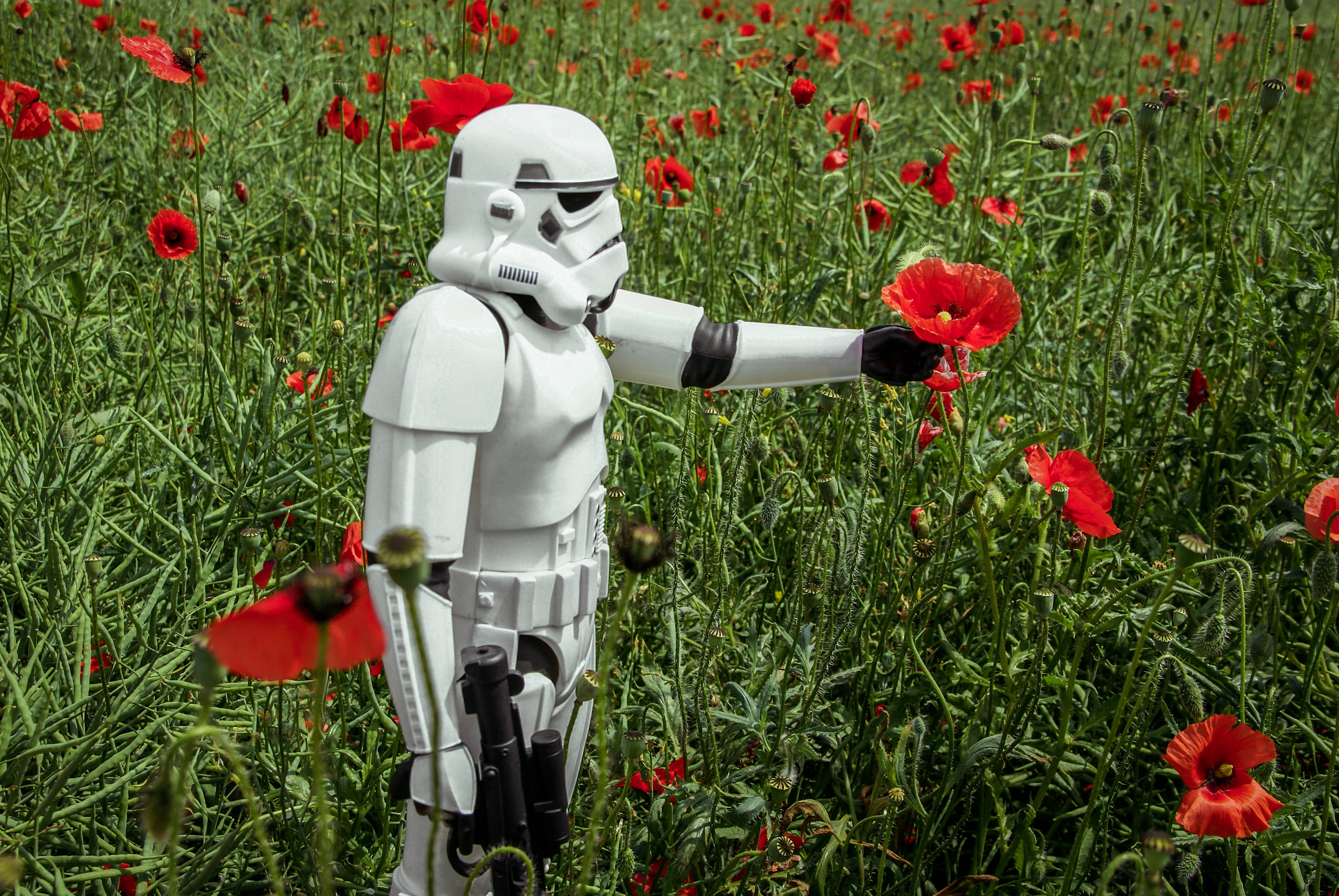 Clone Trooper With Poppies Background