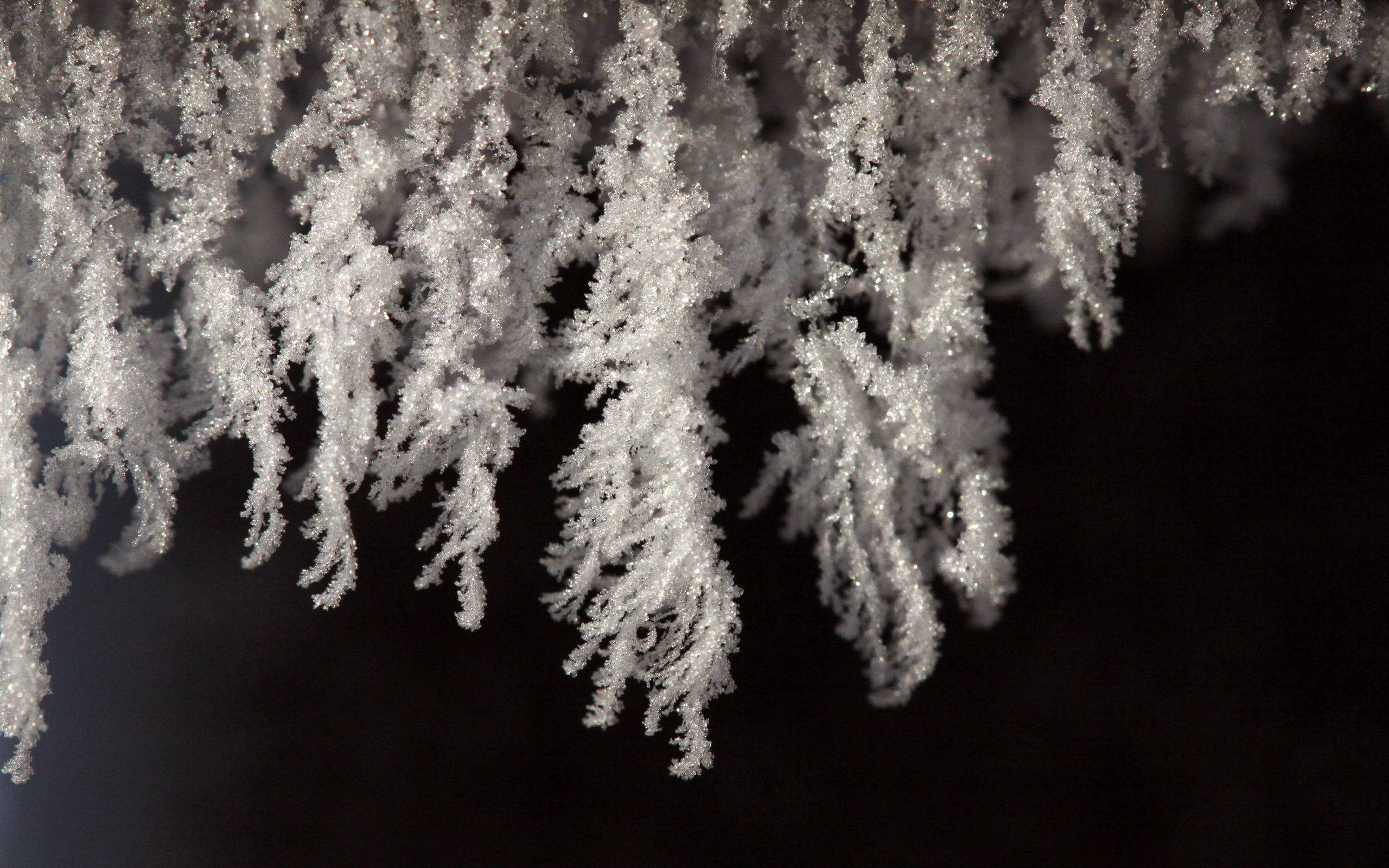 Close-up, White, Black, Snow, Snowflakes Background