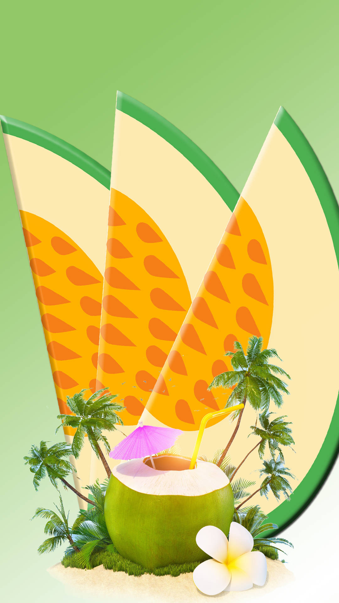 Download Coconut And Melon Tropical Fruit Slices Wallpaper | Wallpapers.com