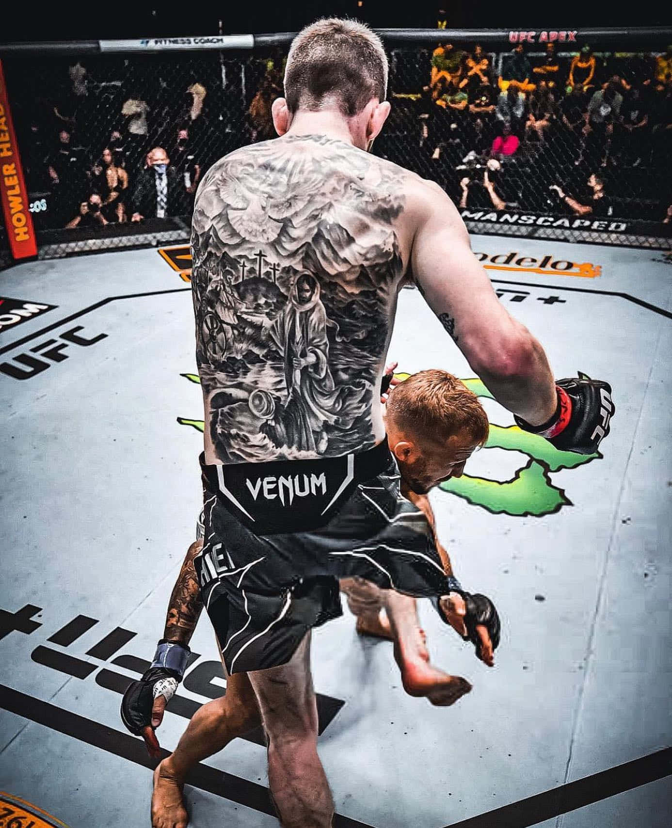 Download Cory Sandhagen Hitting Opponent With Knee Wallpaper