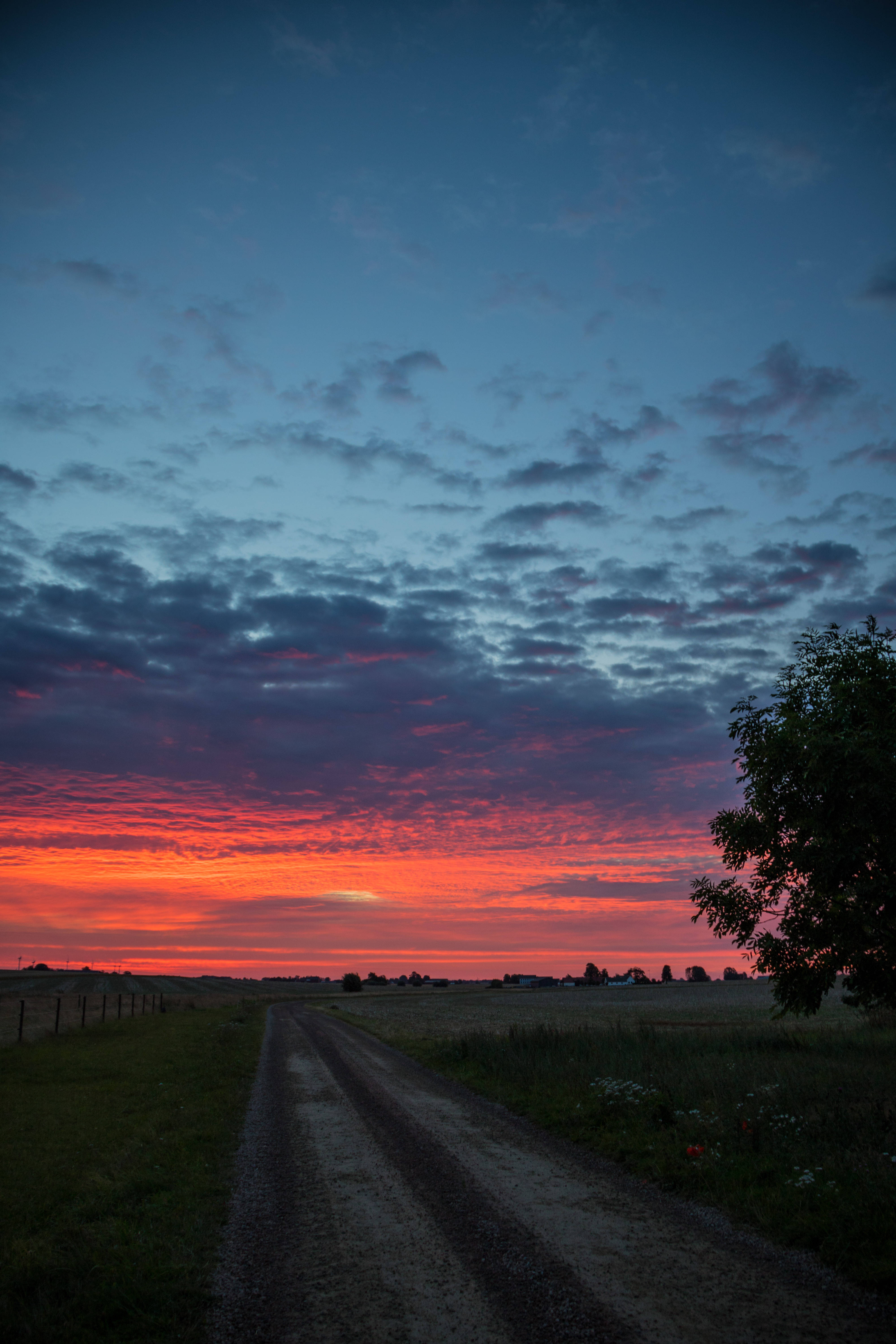 Country Road Dawn Sunrise Background
