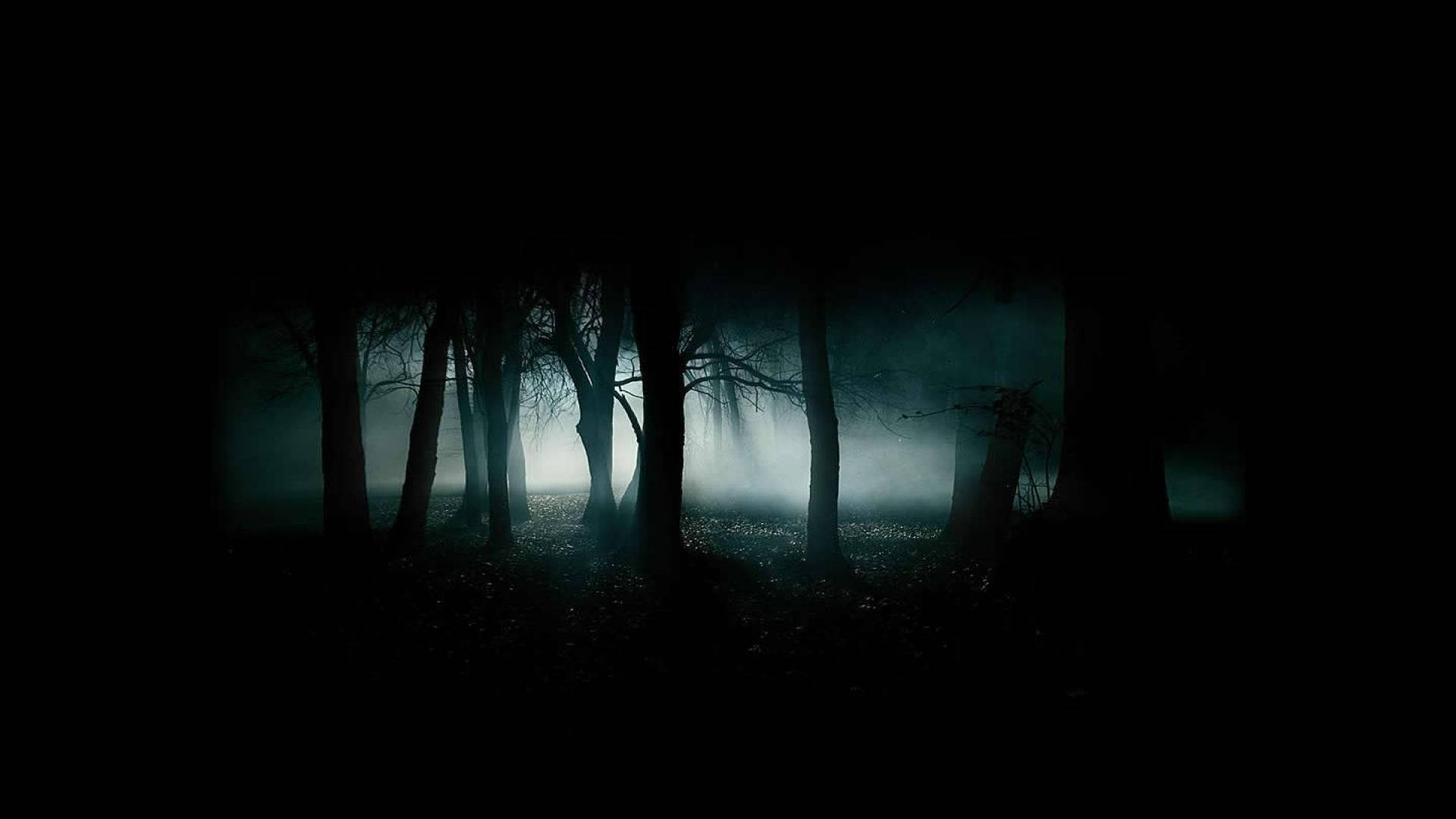 Creepy Dark Foggy Forest Background